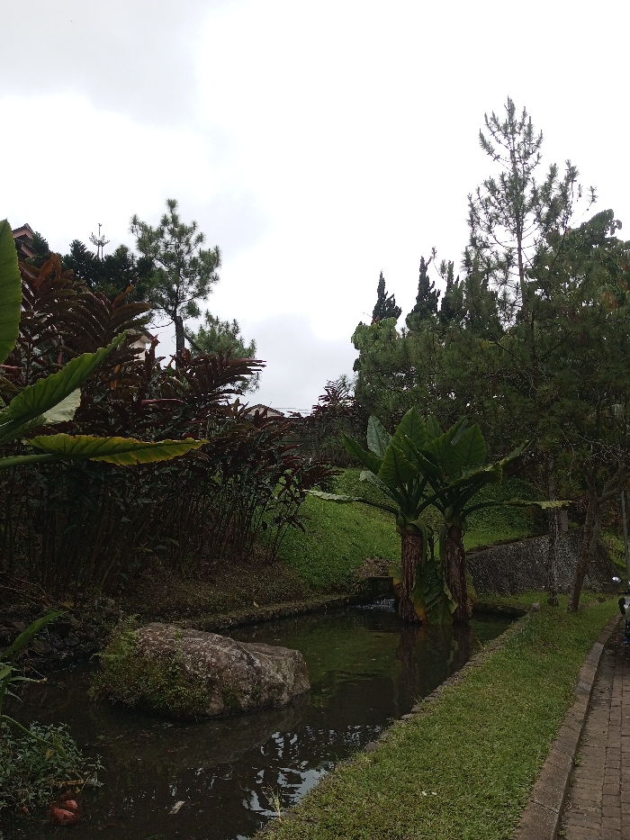 A serene waterscape under a cloudy sky features a stone in a stream bordered by lush vegetation. Red and green plants thrive, with taller pines reaching towards the sky. A paved path lines the right side, suggesting a curated natural space. The scene conveys a tranquil, garden-like atmosphere.