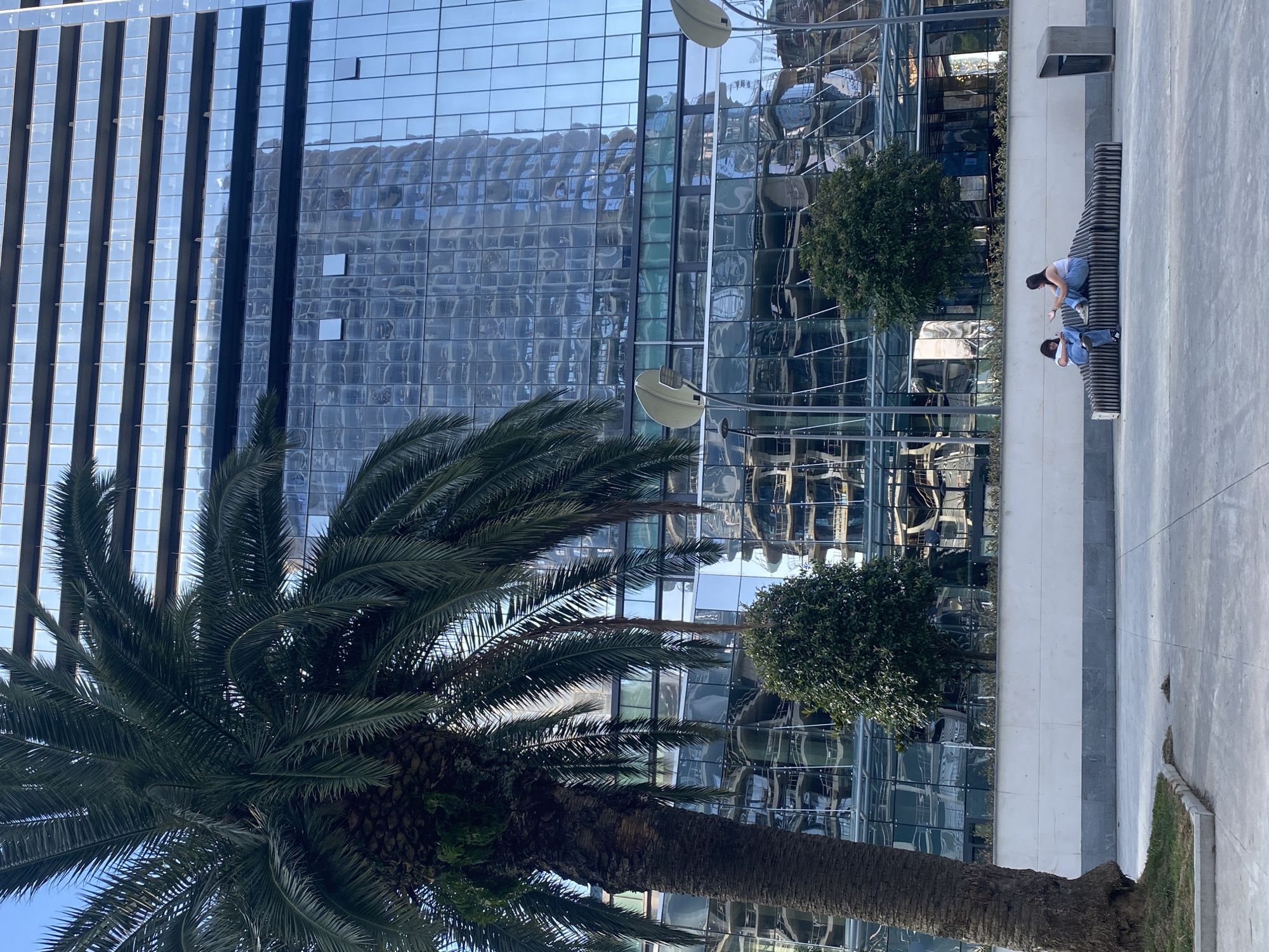 Two people are sitting on a bench outside a modern building with a glass facade. One person, wearing a white tank top and blue jeans, is leaning forward, possibly interacting with the other person. The second person, wearing a white shirt and blue jeans, is also leaning forward, looking down. The building's reflective glass exterior shows a distorted view of the surroundings, including palm trees and other trees. The scene appears to be a public space, possibly a plaza or a walkway, with a paved ground and a long, tiered bench. The time of day appears to be daytime, with bright sunlight casting shadows, suggesting it is a clear day. The overall setting evokes an urban environment in a warm climate, consistent with the provided location context of Batumi, Georgia, where palm trees are common. There is no visible text in the image.