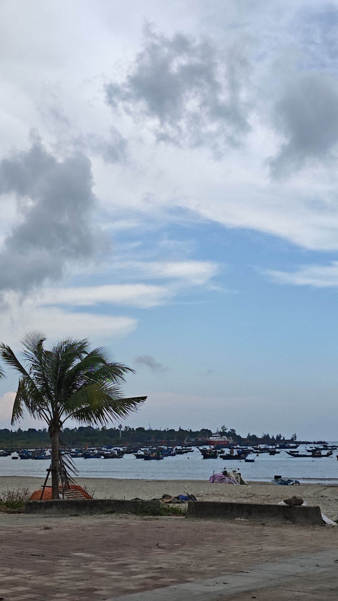 The image depicts a coastal scene in Đà Nẵng, Vietnam. In the foreground is a paved area leading to a sandy beach. A young palm tree, supported by wooden braces, stands to the left. The beach contains debris, including various cloths, trash, and concrete blocks. Numerous small fishing boats are anchored offshore, forming a semi-dense line in the distance. Behind the boats, a tree-lined shore is visible with taller structures interspersed, including what appears to be a tower and a larger ship or building. The sky is a mix of blue and overcast conditions with heavy, grey cloud formations. No people are clearly discernible in the scene. The general impression is of a working beach with a developing palm tree and an overcast sky.