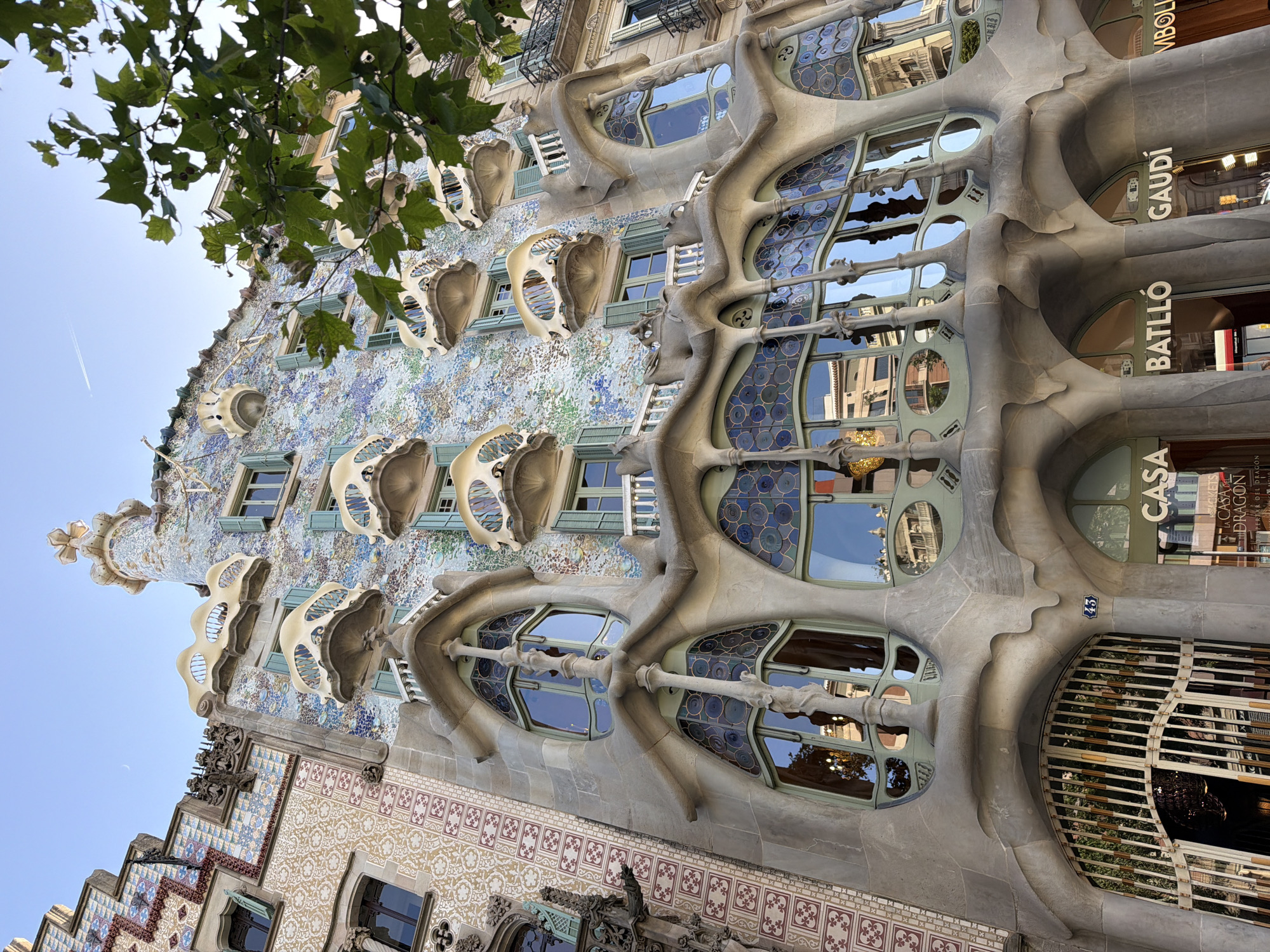 This media file features a close-up, low-angle view of Casa Batlló, a renowned building designed by Antoni Gaudí in Barcelona, Spain. The architecture is characterized by its organic, flowing lines and vibrant mosaic facade. The building's facade is adorned with colorful tiles in shades of blue, green, and purple, creating a shimmering effect. Prominent bone-like balconies with heart-shaped openings punctuate the facade.
The large, curved windows are a striking feature, with intricate, dark blue stained glass patterns. These windows reflect the surrounding buildings and the clear blue sky. Lush green leaves from a tree in the foreground partially obscure the top left portion of the building, adding a natural element to the scene. The sky is a bright, clear blue, suggesting a sunny day, possibly late morning or early afternoon given the angle of the light.
Visible text on the building includes "CASA" and "BATLLÓ GAUDÍ" vertically oriented on signs, identifying the building and its architect. Another sign reads "CASA DRAGON". A small blue number "43" is visible near one of the entrances. The overall impression is one of artistic innovation and a fusion of nature and architecture.