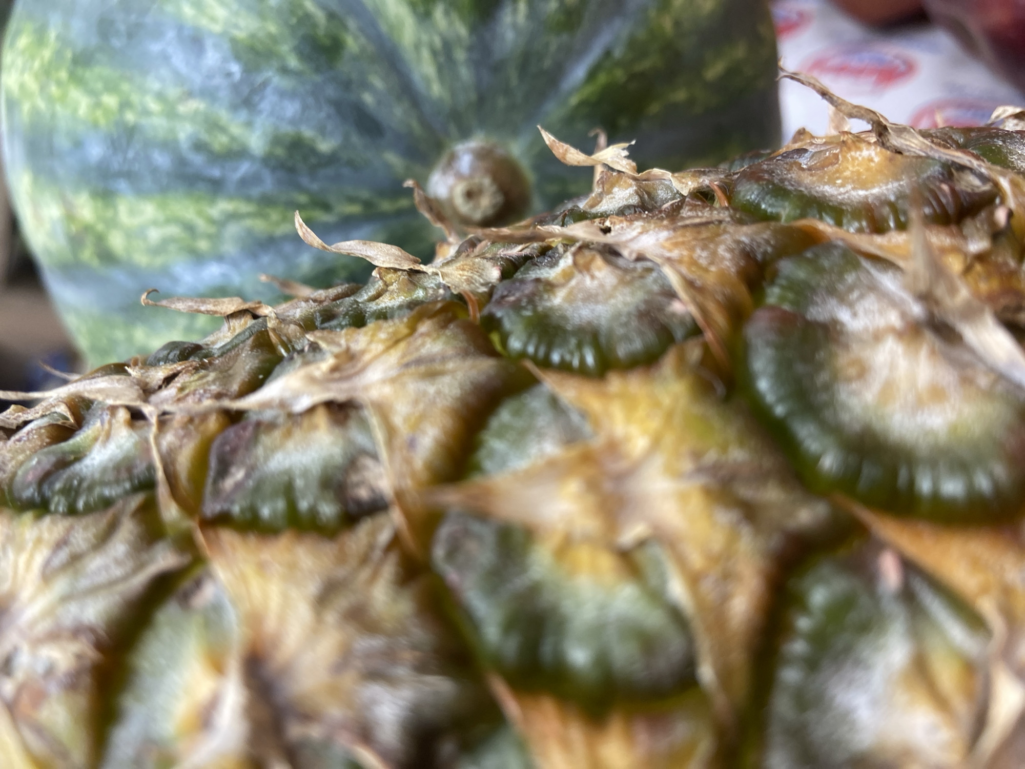 The image displays a close-up, high-angle perspective of two fruits, consistent with a display at a market or grocery store in Budva, Montenegro. The dominant subject on the left and center-right is a pineapple, its rough, segmented green-brown skin with dried, pointed brown scales in sharp focus. To the right and in the background, a watermelon is visible in soft focus, characterized by its mottled green rind and a small, dark brown stem attachment point. In the lower-right corner, blurred elements indicate white packaging with red markings and a reddish-brown object. No individuals are present, and no specific actions or interactions are depicted.