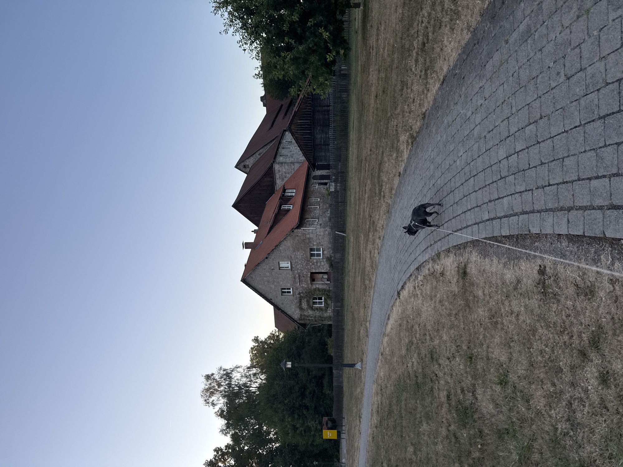 In Walkenried, Germany, a French bulldog on a leash walks on a paved path. The dog is dark grey and faces away from the camera, its body angled to the right. The path curves from the bottom right corner into the distance, bordered by dry grass on the left. In the background, several stone buildings with red tile roofs and wooden elements are visible, characteristic of rural architecture. A wooden fence runs in front of the buildings. A lamppost stands to the left of the path. The sky is clear and light blue, suggesting either early morning or late evening light. The scene conveys a peaceful, outdoor atmosphere.