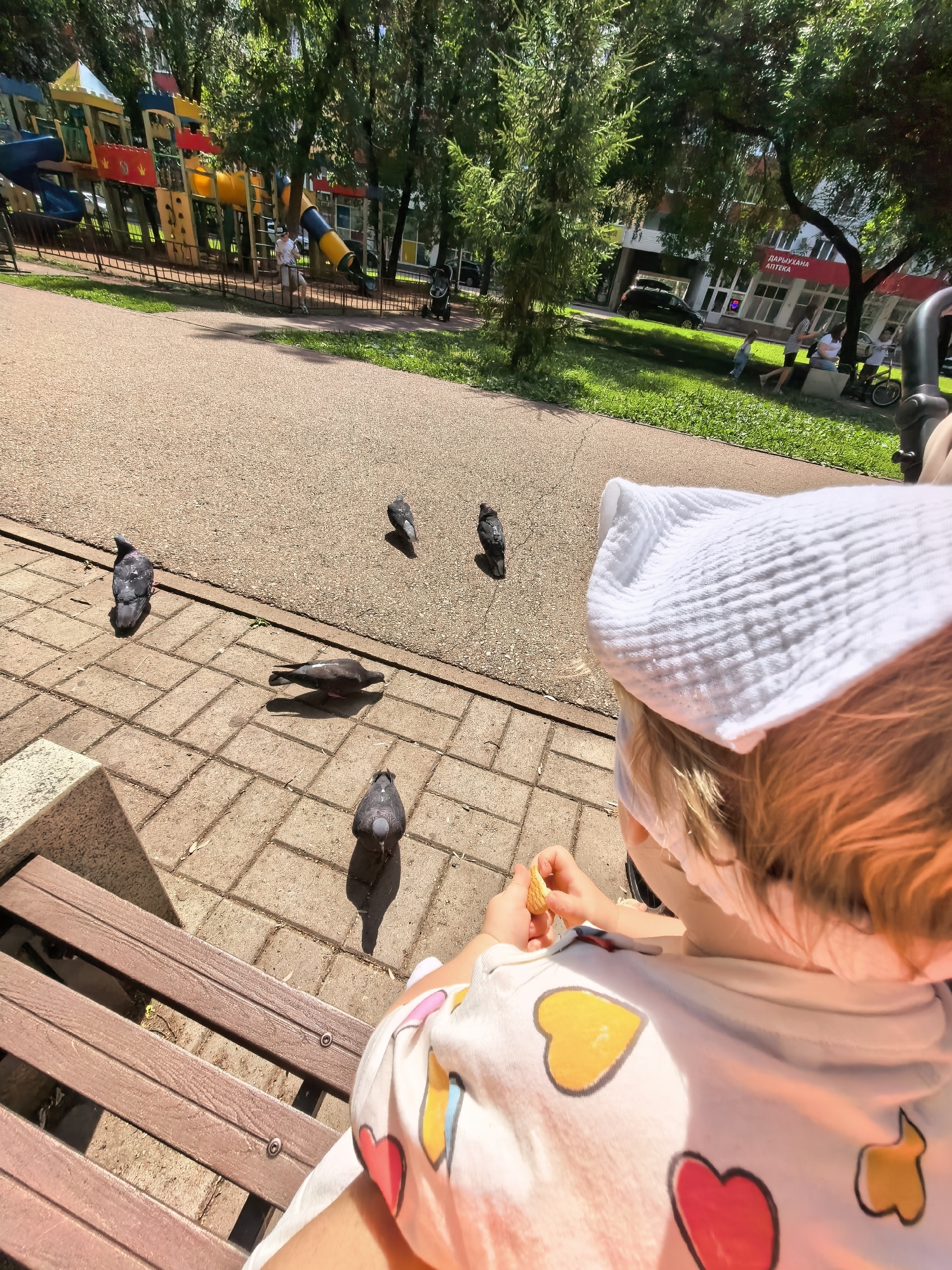 In Sterlitamak, Russia, on a sunny day, a young child wearing a white sun hat and a light-colored shirt decorated with colorful hearts sits on a wooden park bench. The child is holding a small piece of food in their hand and appears to be feeding pigeons. Several pigeons are gathered on the paved ground in front of the bench, looking towards the child. The background shows a playground with colorful slides and structures, a paved walkway, lush green grass, and trees providing shade. In the distance, buildings are visible, including one with signage that reads "ДАРЫХАНА АПТЕКА". Other people can be seen in the background, some walking and others sitting, suggesting a public park setting.
