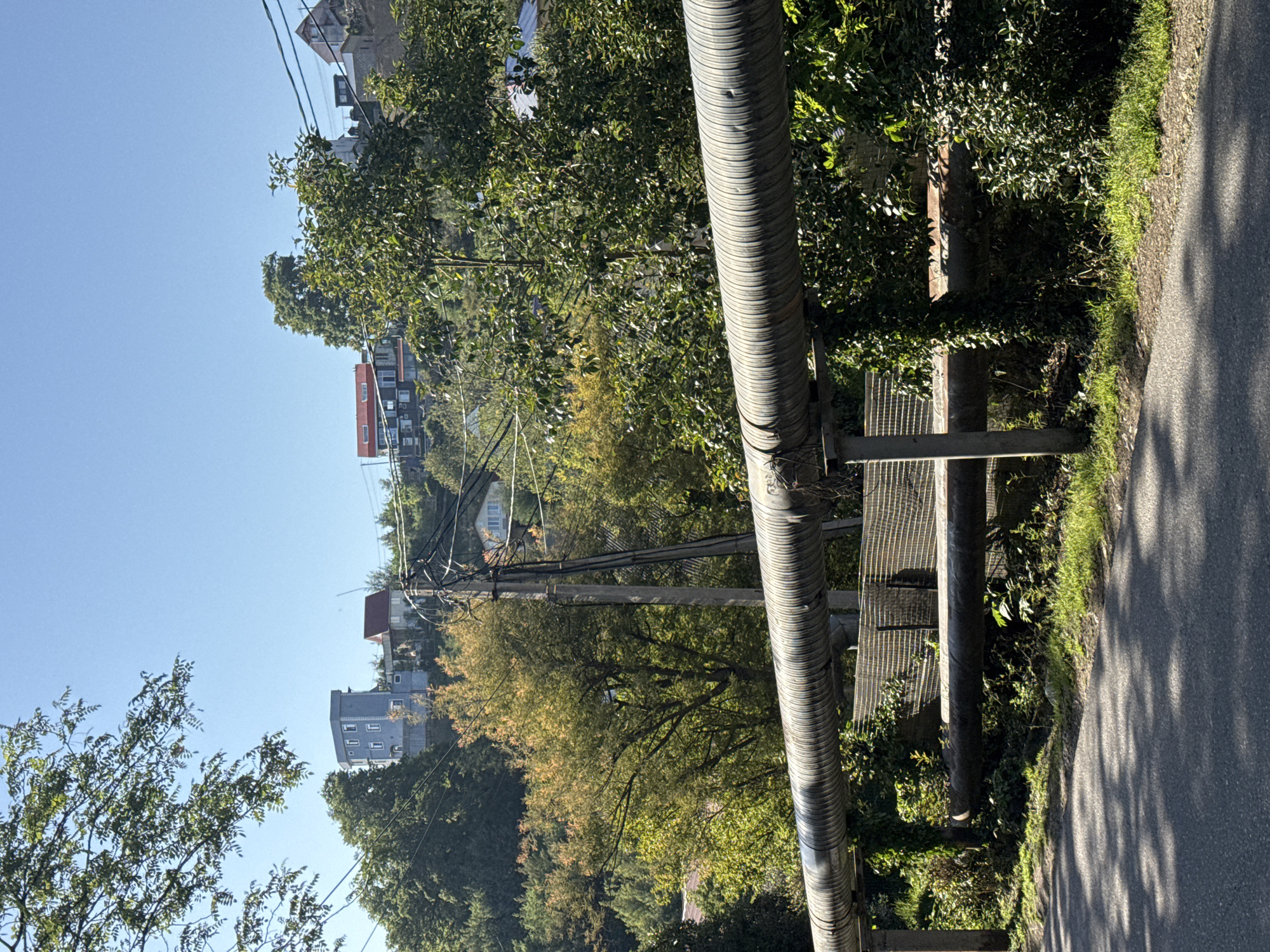 A utility pipe runs parallel to a road in Sochi, Russia. The pipe is made up of multiple sections that appear to be connected with ribs. It is supported by a metal frame. Adjacent to the pipe and metal frame is a road, bordered by grass and foliage. The background is composed of trees, power lines, and several buildings. The sky is blue and clear.