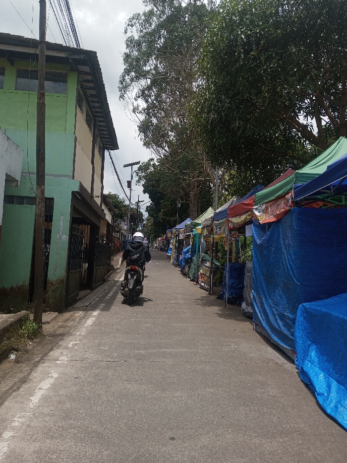 The image captures a paved street scene in Bagochen Boolingpang Ueling, Bhutan, under an overcast sky. A single individual, wearing a dark jacket with white markings and a white helmet, rides a white and black scooter away from the viewer down the center of the street. On the left side, a two-story building with a light green lower section and a light beige upper section dominates the foreground, featuring a dark sloped roof and visible windows on the upper floor. A dark utility pole with multiple overhead wires stands vertically in front of this building. Further down the street on the left, more structures and a street light with a solar panel are visible. The right side of the street is lined with a series of market stalls or temporary shelters, each covered by colorful canopies in hues of green, blue, red, and orange. Many of these stalls are obscured or covered by blue tarpaulins. A dense line of trees with varying foliage types forms a green backdrop behind the market stalls. The street surface is gray concrete or asphalt.