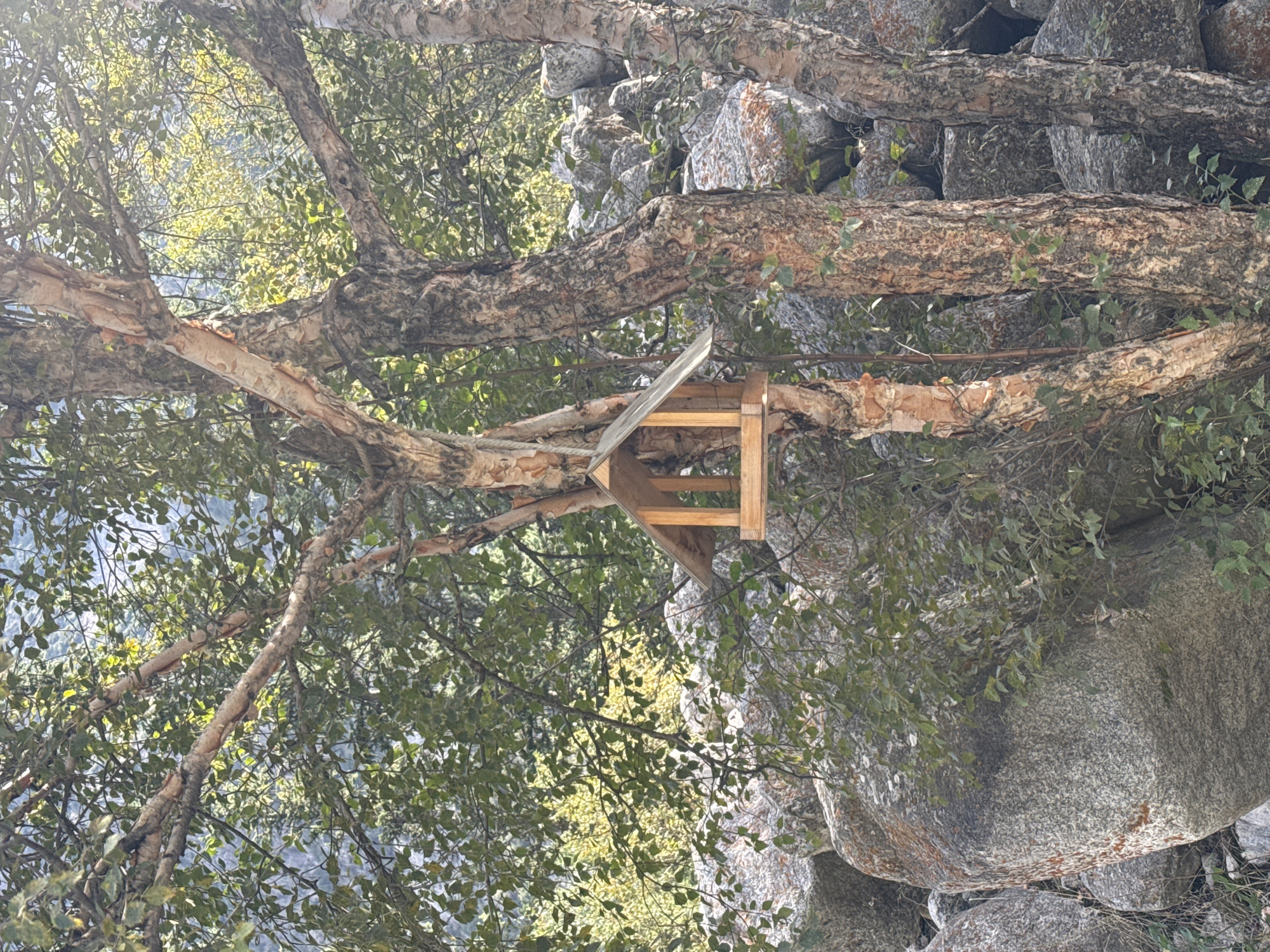 In the city of Unknown, Kyrgyzstan, a wooden bird feeder is affixed to a tree in a rocky, natural environment. The bird feeder, constructed from light-colored wood, has a sloped roof and open sides, suggesting it is designed to hold birdseed. It hangs from a branch of a large tree with rough, textured bark and light green leaves. The background is filled with large, grey rocks, some with patches of orange and green lichen, interspersed with foliage. The overall scene depicts a serene, outdoor setting in a natural landscape.