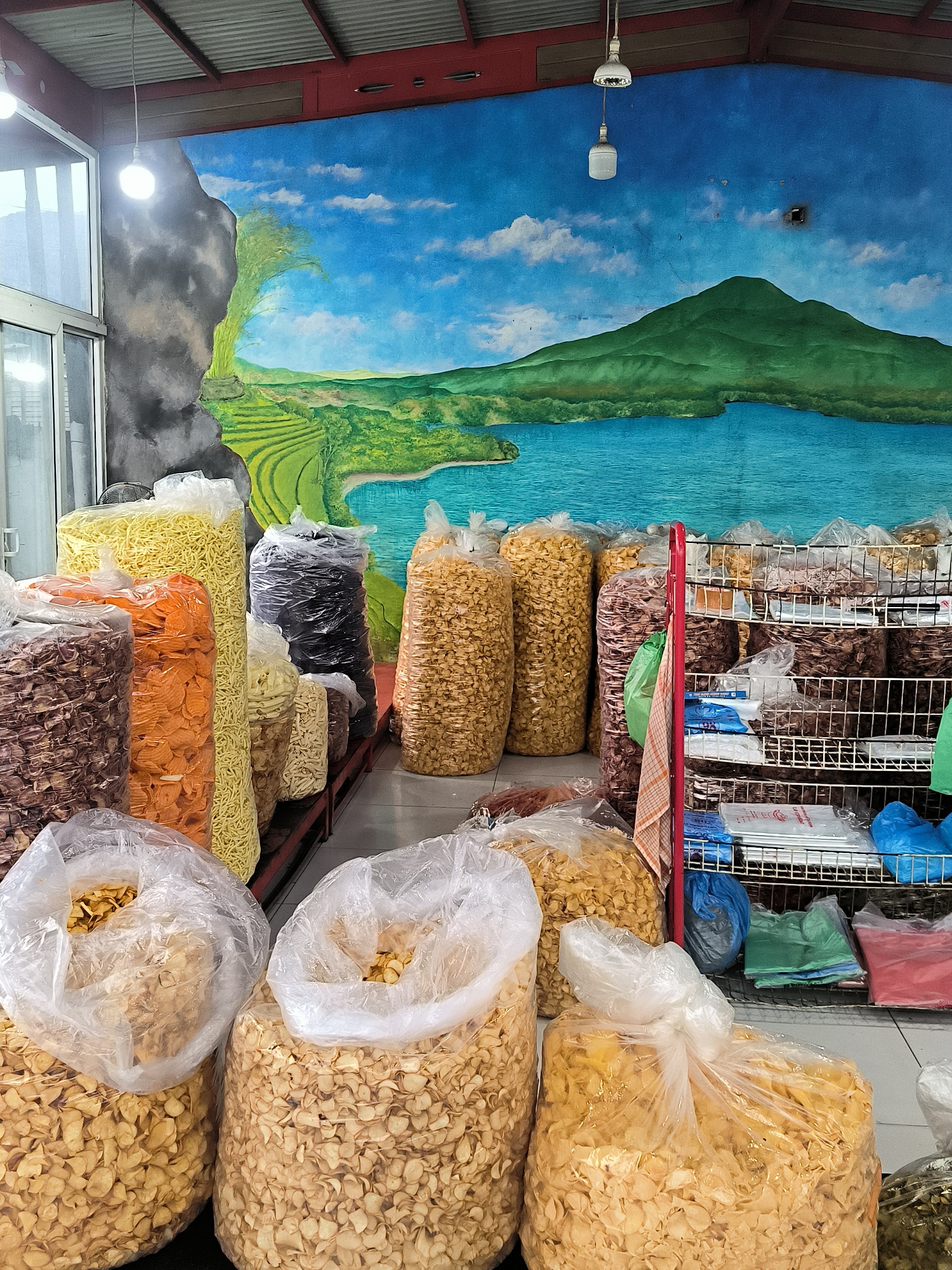 This image captures the interior of a snack shop or market stall, likely located in Sukamulia, Indonesia. The dominant background feature is a vibrant mural painted across the back wall, depicting a picturesque mountainous landscape. The mural showcases a large green mountain, a sprawling blue lake, and verdant terraced rice fields, all under a bright blue sky dotted with white clouds. A dark, rocky formation is painted on the left side of the mural.
The foreground and midground are filled with a large assortment of snacks, predominantly packed in clear plastic bags. These bags, varying in size, contain different types of crackers or chips, distinguishable by their shapes, colors (including yellow noodles, orange slices, dark brown and black varieties, and light beige shapes), and textures. Many bags are arranged standing upright on the floor or on low platforms, while others are piled.
On the right, a red metal shelving unit with wire racks displays more snack bags and various folded plastic bags in blue, green, and red, along with some white packages. A red and white checkered cloth is draped over the side of this shelving unit. The ceiling features exposed red and grey metal beams with corrugated roofing, and bare lightbulbs provide artificial illumination. A glass door or window is visible on the far left.
No people are present in the scene, which focuses entirely on the display of goods for sale. The snacks appear to be traditional Indonesian *kerupuk* or *kripik*. There is no visible text on any of the products or packaging.