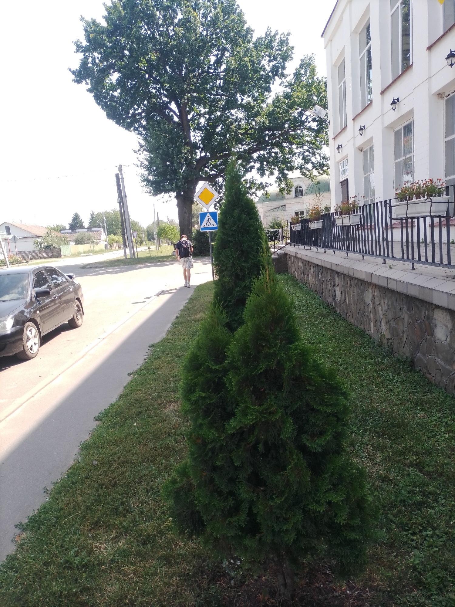 In the city of Romodan, Ukraine, on a sunny day, a person with a backpack walks away from the camera along a sidewalk. A black car is parked on the street to the left of the sidewalk. A pedestrian crossing sign is visible on the right side of the sidewalk. The sidewalk is bordered by a grassy area and a stone wall. A white building with a black fence and potted plants is located behind the wall. A large tree with green foliage stands behind the pedestrian crossing sign. The sky is bright and clear.