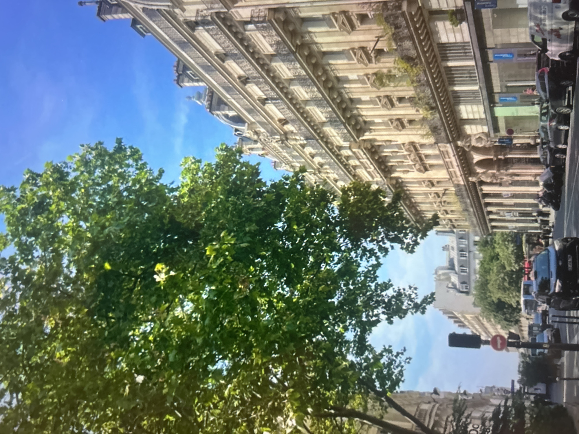 A wide shot captures a sunlit street scene in an urban setting, likely Paris, France, given the Haussmannian architecture of the buildings. A large, leafy green tree dominates the left side of the frame, its branches extending towards the bright blue sky. The right side of the image features a multi-story building with a classical facade, characterized by numerous windows, balconies with ornate railings, and decorative architectural elements. A street with parked cars and a moving vehicle, possibly a taxi, is visible in the foreground. Pedestrians are present on the sidewalk, and a traffic light is illuminated. The overall impression is of a vibrant, bustling city on a clear day.