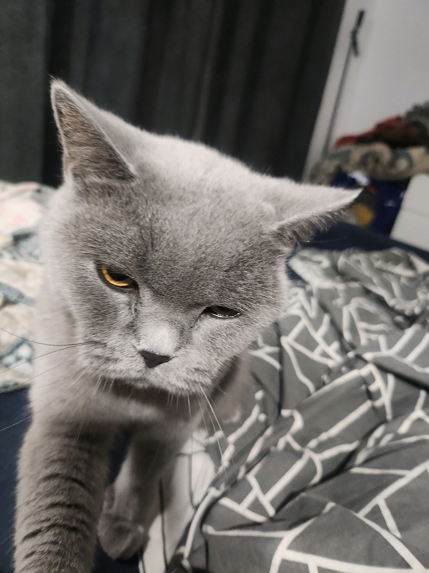 The image is a close-up, eye-level shot of a grey British Shorthair cat. The cat is looking downwards and slightly to the left, with its head tilted. One eye is golden and appears alert, while the other is partially closed and may be showing signs of irritation or a minor injury. The cat's fur is short and dense, and its whiskers are prominent. It is lying on a surface covered with a grey and white patterned fabric, possibly a blanket or bedding. The background is blurred, suggesting a domestic indoor environment, with hints of dark curtains and other objects that are out of focus. The lighting is dim, casting soft shadows. The image does not contain any information that would allow for its location to be identified as Tsarevo, Bulgaria.