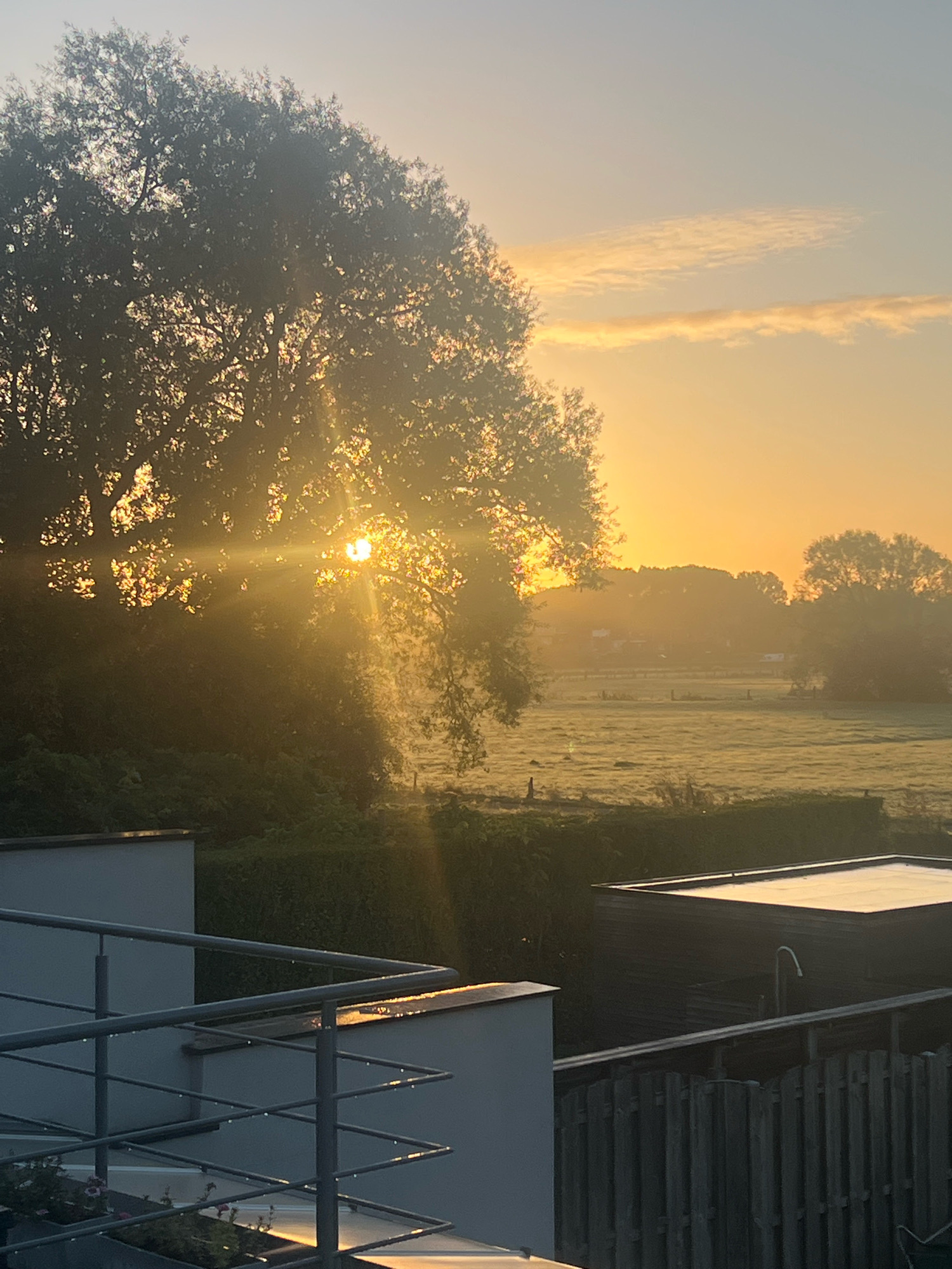 This image captures a serene sunrise over a rural landscape in Denderleeuw, Belgium. The sun is partially obscured by the silhouette of a large tree on the left, casting dramatic rays of light through its branches and illuminating the misty field beyond. The sky is a soft gradient of yellow and blue, with thin clouds adding texture. In the foreground, a modern balcony railing with a metallic finish and dew drops is visible. To the right, a dark, flat-roofed structure, possibly a shed or outbuilding, stands beside a wooden fence. The overall impression is one of quiet natural beauty at the dawn of a new day.