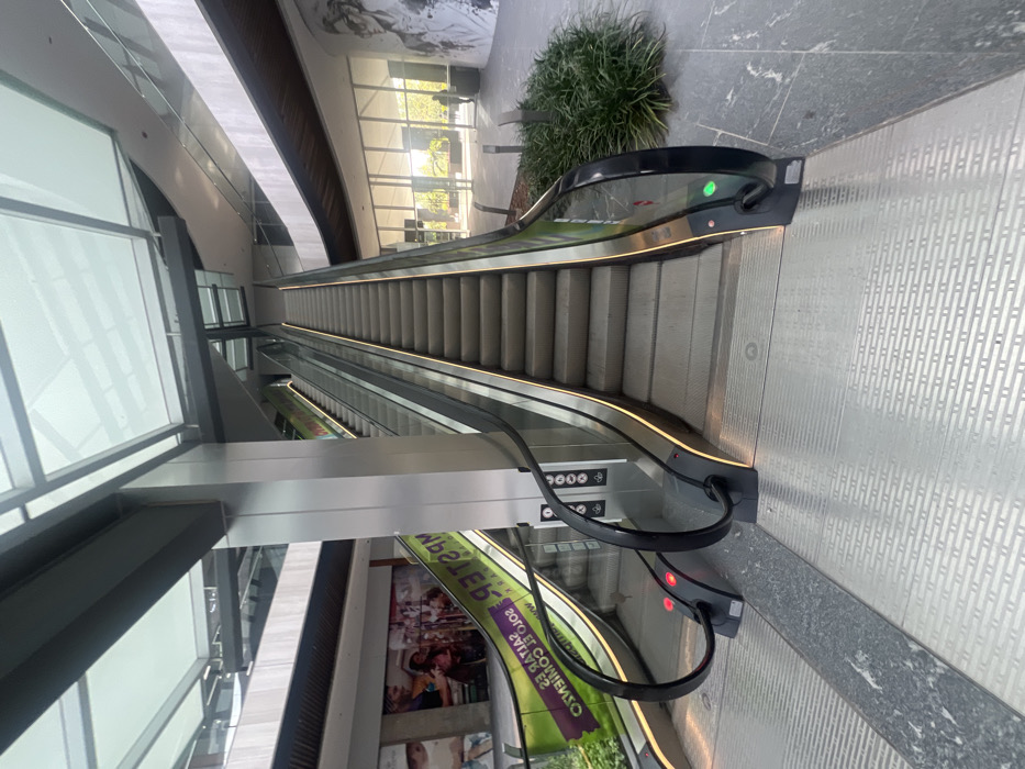 The image displays the interior of a modern commercial building, likely a shopping mall, situated in León, Mexico. Two prominent escalators, constructed with grey metallic steps, glass side panels, and black handrails, dominate the scene. Both escalators feature illuminated golden-yellow accent lighting along their base. The escalator on the right is ascending, indicated by a green operational light at its entrance, while the partially visible escalator on the left is descending, marked by a red light.
The flooring consists of patterned silver metallic plating interspersed with strips of dark grey polished stone. The ceiling features a multi-paneled glass skylight system with metal framing, allowing natural light to illuminate the space. Vertical support columns with a silver metallic finish are visible.
On the left side of the frame, a wall displays a large mural or advertisement depicting multiple individuals. A green banner, with reversed text reading "MISTER EMPASTER SALTAR ES SOLO EL COMIENZO", is visible on the side of the descending escalator. The right side features a curved wall adorned with a large black and white graphic art print of a person's face. Below this artwork, large glass windows offer a view to an exterior area, where a single human figure is faintly visible as a dark silhouette in the distant background. A small patch of green decorative foliage is located on the ground to the right of the ascending escalator. No individuals are present on the escalators or in the immediate foreground, and no specific actions or interactions are depicted within the visible interior.