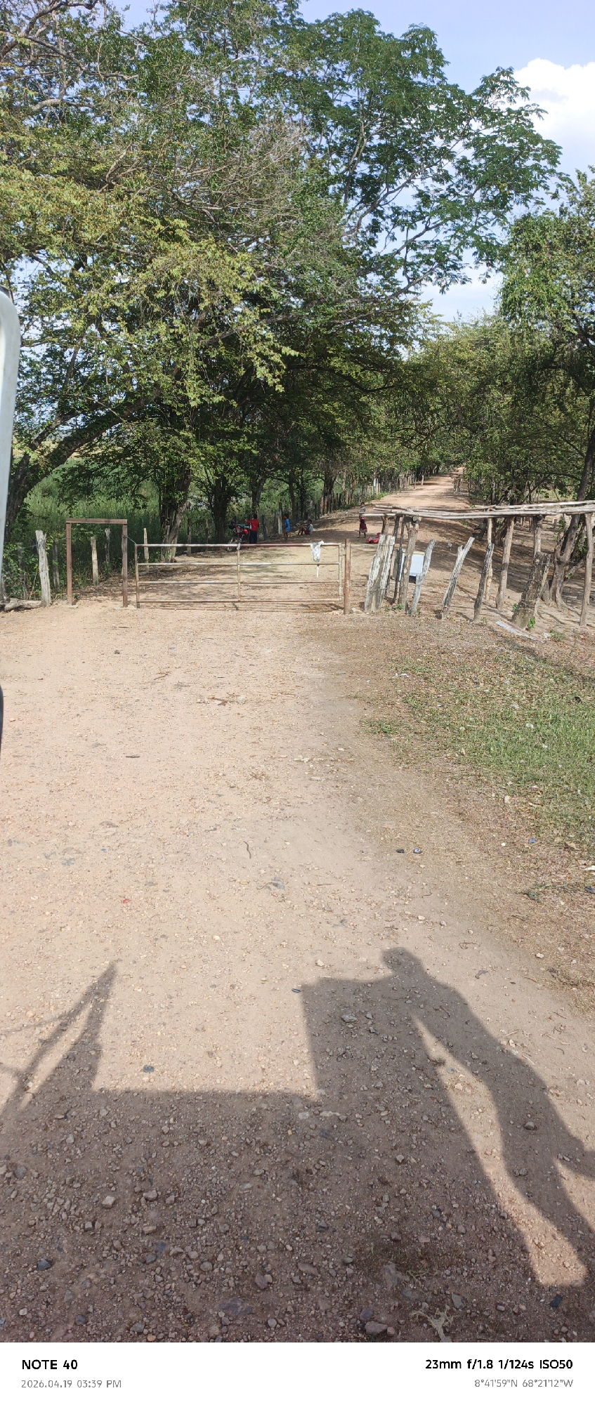 The image depicts a dirt road scene in El Baúl, Venezuela, as indicated by the geographic coordinates. The road is lined with trees, casting shadows across the path. A simple wooden and metal barrier marks a possible transition point along the road. In the distance, there are figures, including children and someone in a red shirt, near a motorcycle, possibly interacting. The foreground is dominated by the dirt road, with the shadows of a person holding the camera and a portion of the vehicle from which the picture was taken. The lighting suggests daytime. The picture was taken on 2026-04-19 at 03:39 PM at 8°41'59"N 68°21'12"W.