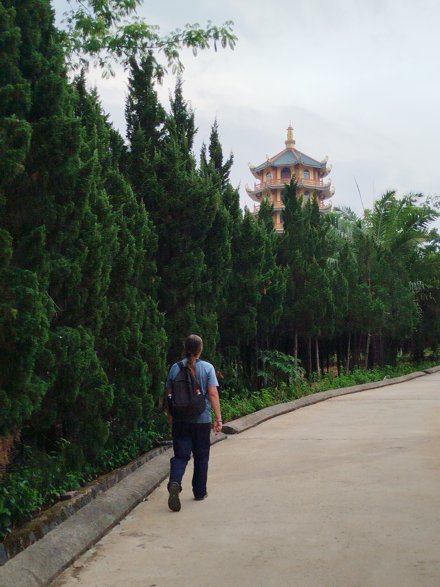 The image depicts a person walking away on a concrete path. They are wearing a blue shirt, dark pants, and a dark backpack. The path is bordered on the left by a row of tall, dark green, conifer trees, and on the right by shorter trees and other greenery. In the distance, behind the trees, is a multi-tiered pagoda-like structure with a yellow and blue roof. The scene appears to be in Phú An, Vietnam, as indicated by the pagoda's architectural style. The sky is overcast.