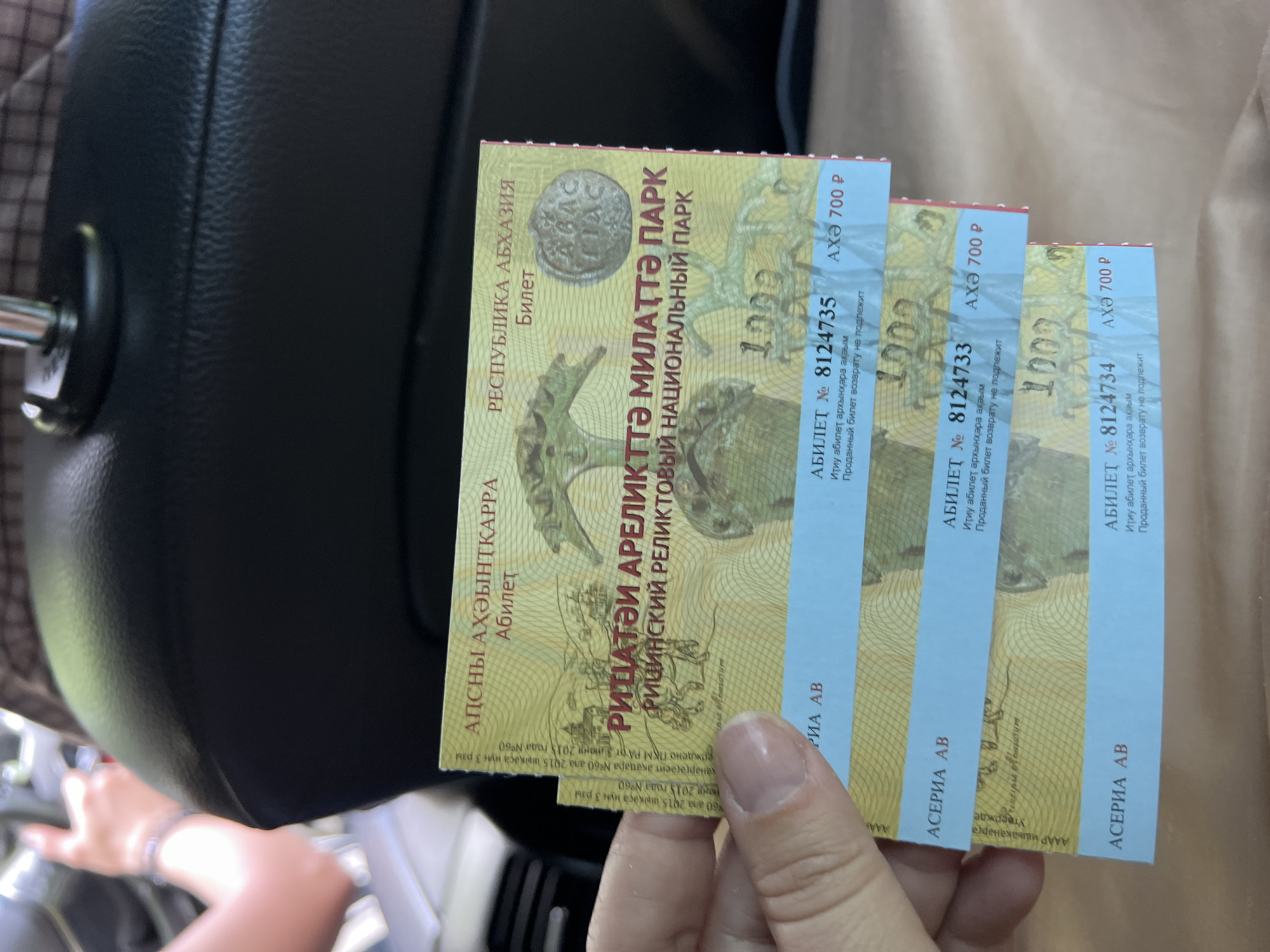 This is a close-up, slightly angled, portrait-oriented photograph showing a person's hand holding up three tickets. The tickets are colorful, predominantly yellow with blue text and red perforations along the top edge. The background consists of the dark, textured surface of what appears to be car upholstery, likely a seat. A person's arm and wrist are visible in the lower left corner, wearing a bracelet.
The tickets themselves are the main focus. They are printed with text in what appears to be Abkhazian and Russian. Key visible text includes "РЕСПУБЛИКА АБХАЗИЯ" (Republic of Abkhazia), "РИЦИНСКИЙ РЕЛИКТОВЫЙ НАЦИОНАЛЬНЫЙ ПАРК" (Ritsinsky Relict National Park), and "АБИЛЕТ №" (Ticket No.) followed by numbers such as 8124735, 8124733, and 8124734. The price of "700 P" is also clearly visible on each ticket. A small circular emblem with text like "ABAC" and "TIAC" is present on the leftmost ticket, as is a coin-like depiction. The tickets also contain decorative line patterns and what look like depictions of nature or wildlife. The phrase "Проданный билет возврату не подлежит" (Sold ticket is non-refundable) is also present. The tickets appear to be for entry to a national park. The person's hand is holding them in a way that suggests they are being presented or displayed. The lighting suggests it is daytime, possibly indoors or in a shaded area.