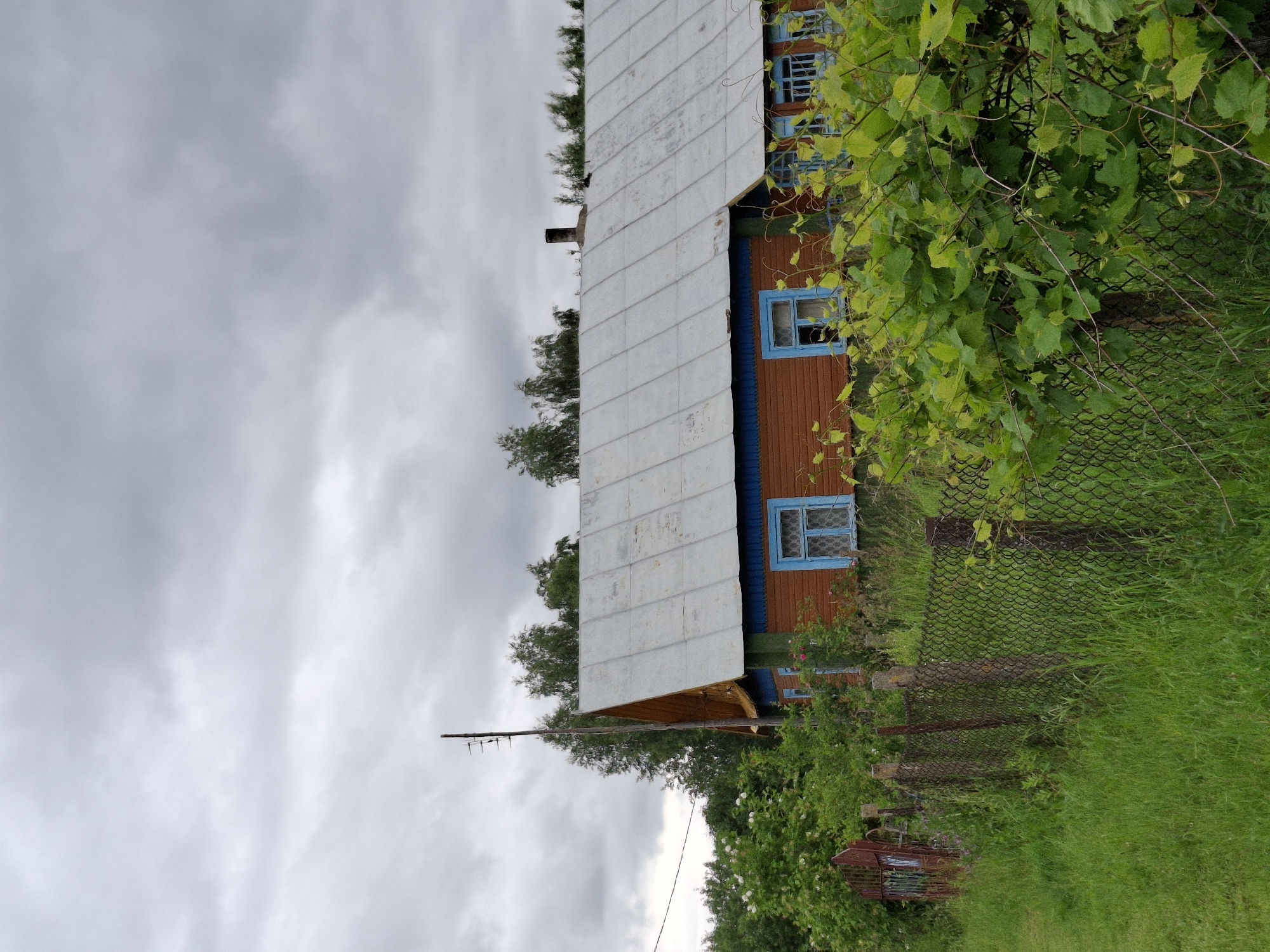 The image depicts a rural scene in Дубровенскі сельскі Савет, Belarus, under a heavily overcast sky. A wooden house with a metal roof is visible, featuring orange-brown siding and blue-trimmed windows. A wire mesh fence runs in front of the house, with lush green foliage, including what appears to be grapevines, growing over it. To the left of the house, a red metal gate is partially visible amongst green bushes and tall grass. A wooden pole with what looks like an antenna rises from behind the house, and a chimney is present on the roof. The overall impression is one of a slightly unkempt, but lived-in, rural dwelling.