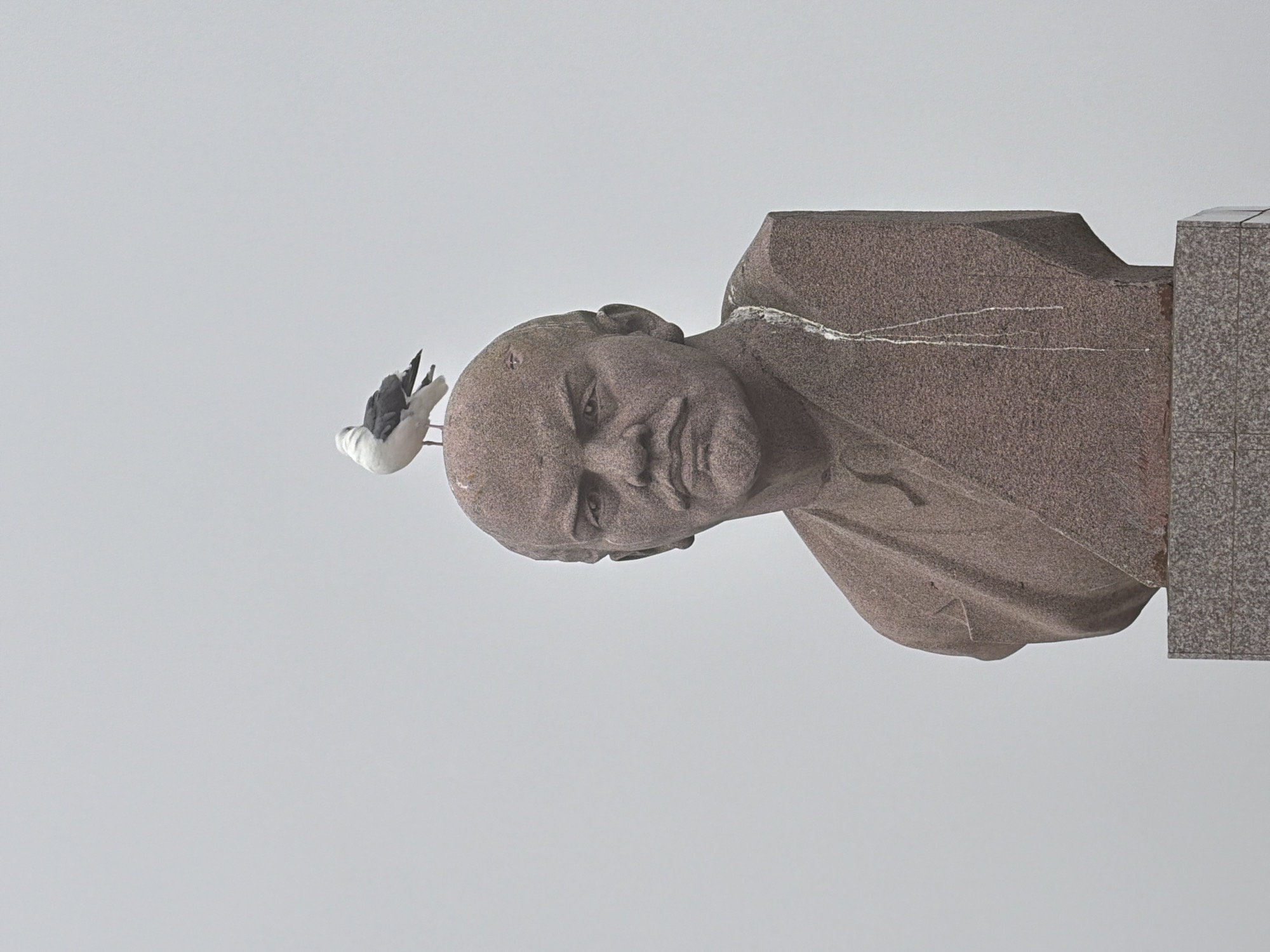 A seagull perches atop a granite bust of Vladimir Lenin in Yuzhno-Kurilsk, Russia. The bust is weathered and stained, with bird droppings visible on the left side. The background is a uniform, overcast sky.