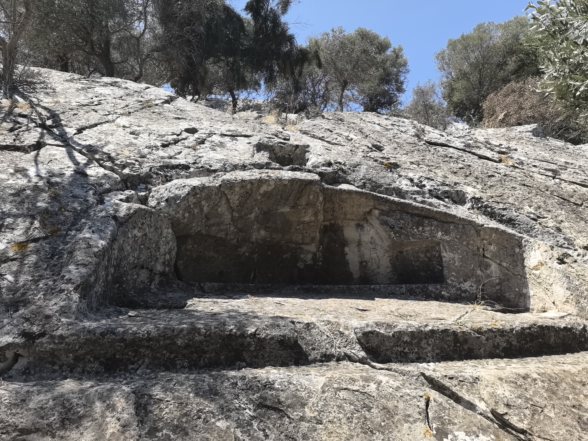 A carved stone trough is situated on a rocky, sun-drenched hillside overlooking the Aegean Sea. The trough, which appears to be ancient, is deeply recessed into the rock and has a rough, uneven surface. Several olive trees, their branches gnarled and twisted, cast dappled shadows across the scene. The sky is a clear, bright blue. The location is in the Archaeological Site of Thassos, Greece, specifically near the ancient theatre.