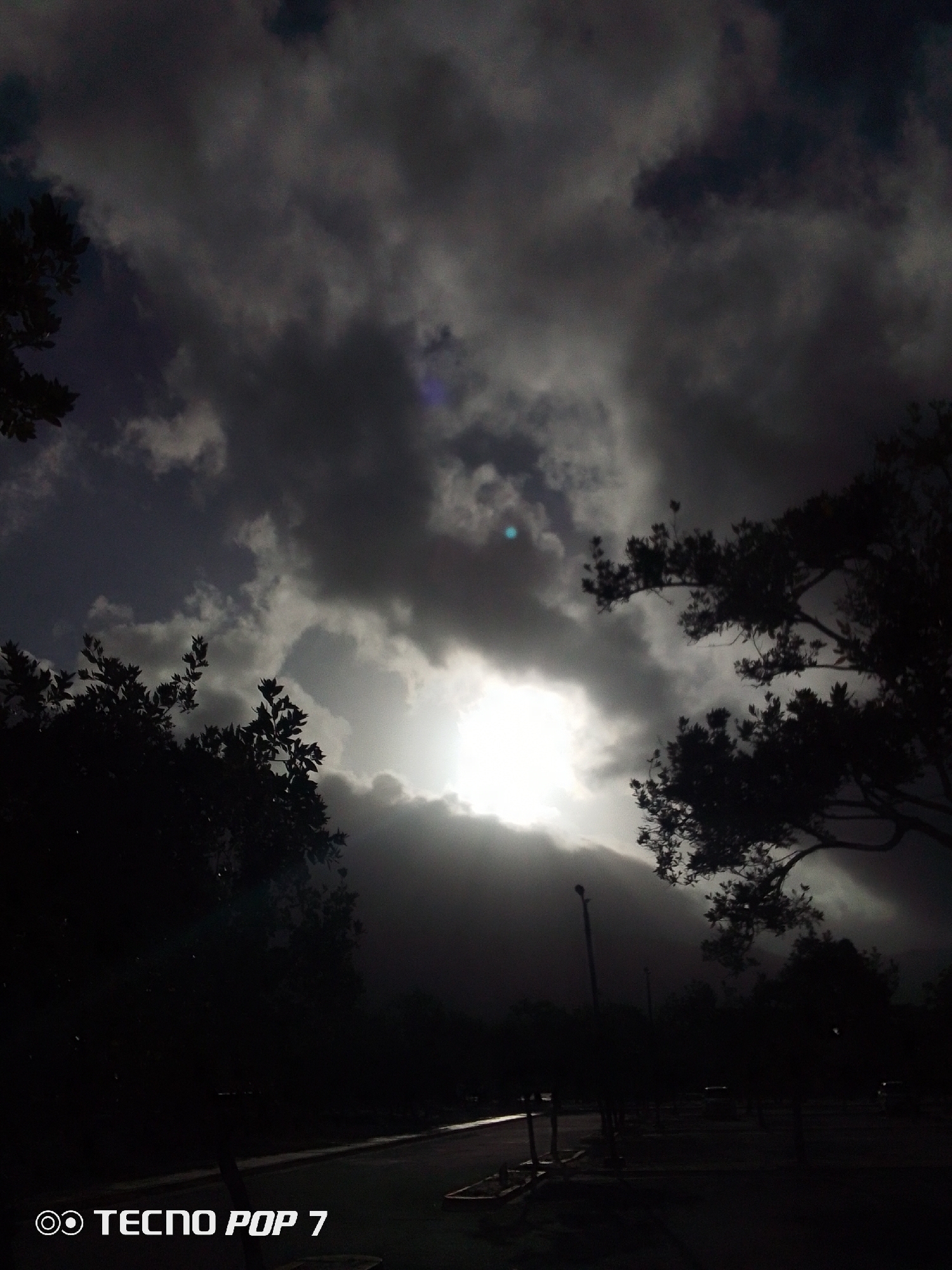A low-angle photograph shows a cloudy sky with the sun shining through a gap in the clouds, partially obscured by the trees on either side. The foreground is dark, showing silhouettes of trees and street furniture along a road. The image, taken with a TECNO POP 7 phone, is in a dark environment in Pedro González, Venezuela.