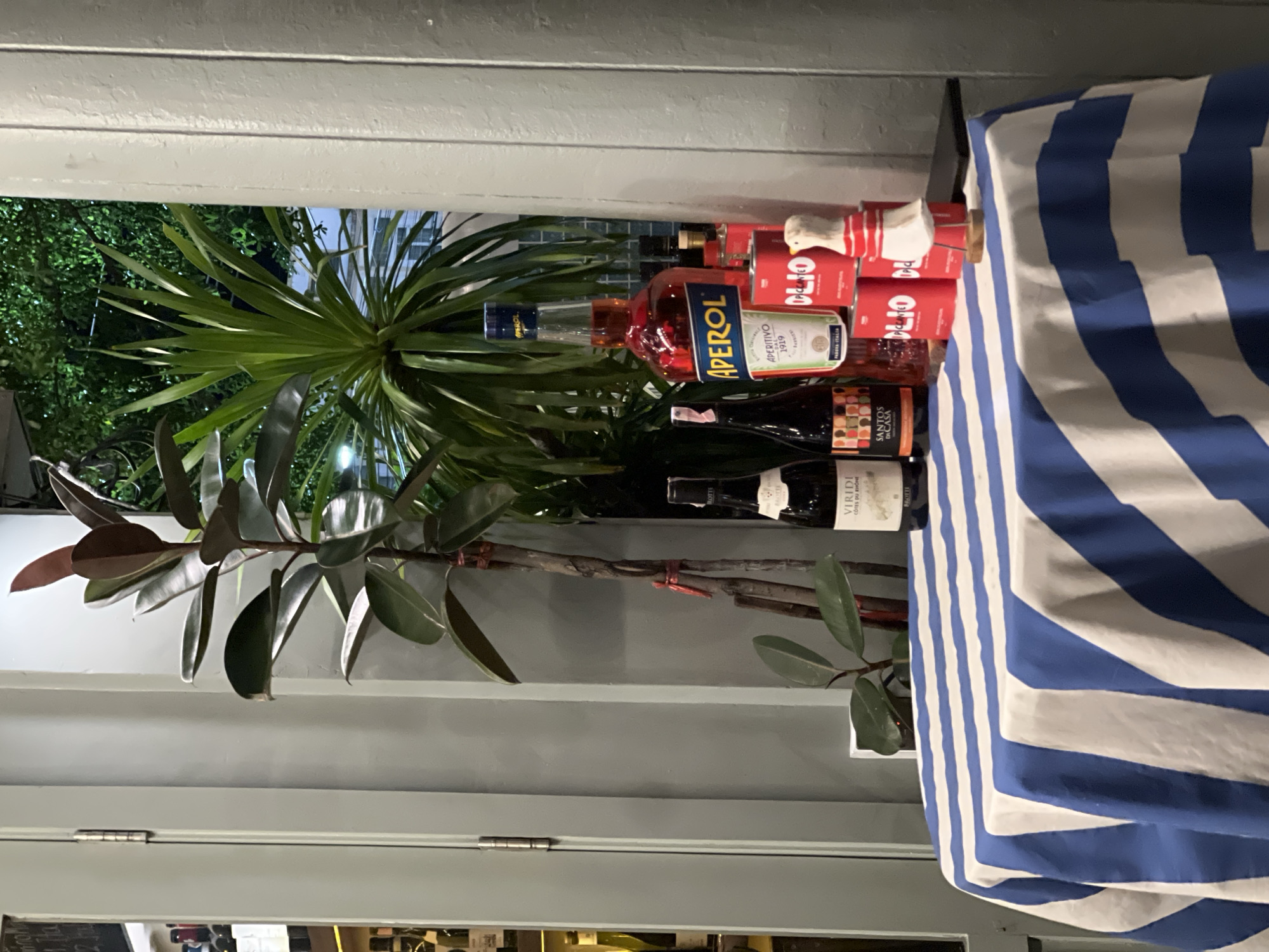 The image captures an indoor setting adjacent to an open window or doorway.
Dominating the left of the frame are potted plants, one with large, glossy, dark green leaves and another with thinner, sharper, pointed leaves. These plants are situated near the opening, partially obscuring the outdoor view.
A collection of bottles and red cans are lined up on a shelf, likely situated near the window. Noteworthy is a bottle labeled "APEROL APERITIVO 1919." Additionally, there is a bottle labeled "SANTOS DACASA" and "VIRIDI CÔTES DU RHÔNE BROTTE".
A blue and white striped fabric is partially visible on the right side of the image, suggesting the presence of a curtain or covering that extends beyond the frame.
The overall scene suggests a bar or cafe interior, with the open window providing a view to the outside.