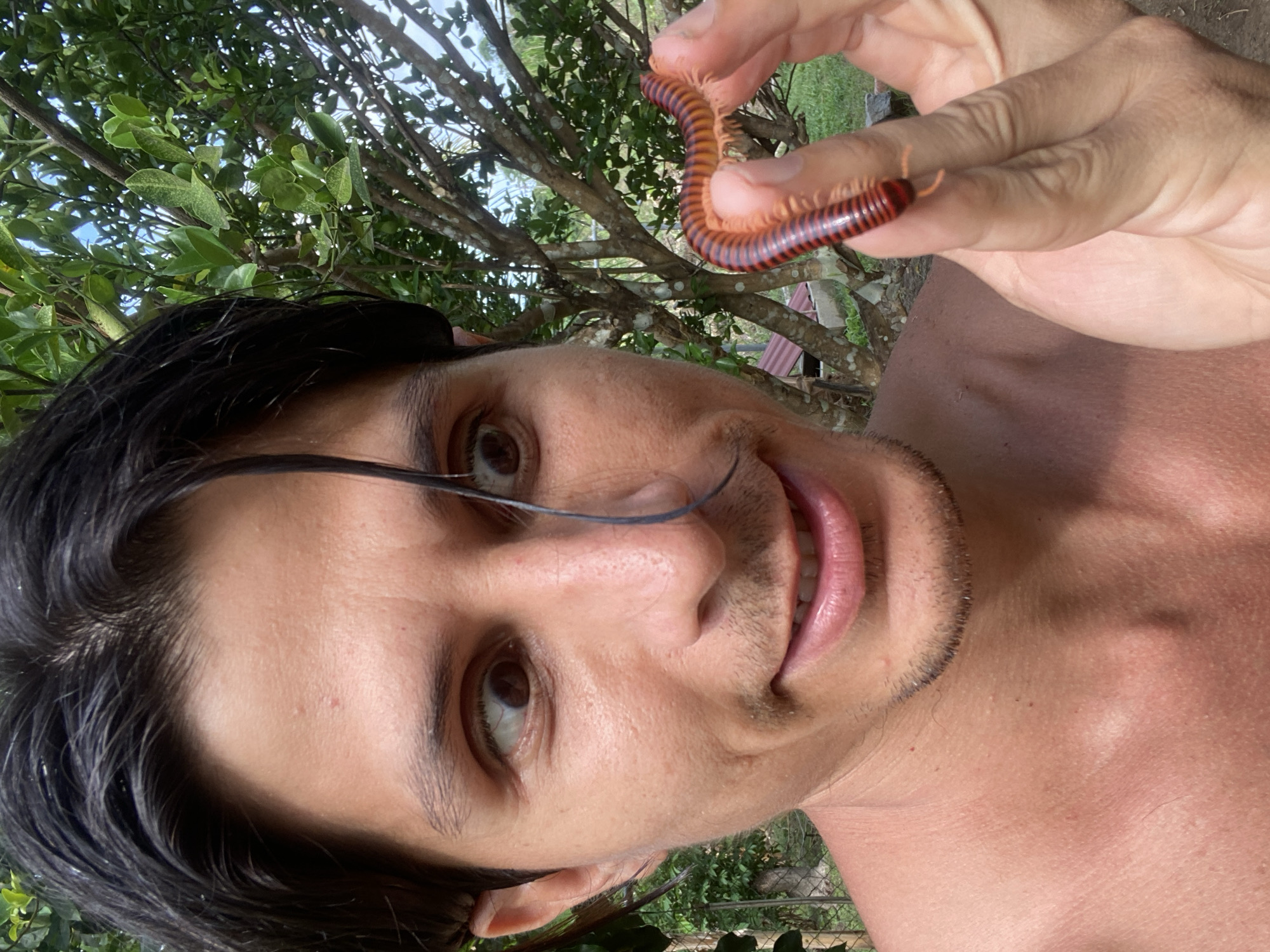 A close-up, selfie-style image shows a person holding a millipede on their right hand, outdoors. The person's face is partially visible on the left side of the frame, with eyes wide and looking to the right. They have dark hair, some of which is falling across their forehead and eyes. Their skin appears tanned. The millipede is a reddish-orange and black striped arthropod, curled on the person's fingers. In the background, lush green foliage and tree branches are visible, suggesting a natural, possibly tropical environment. The lighting indicates it is daytime, with sunlight filtering through the leaves. There is no clear indication of the specific location within Los Velásquez, Venezuela, beyond it being an outdoor, vegetated area.