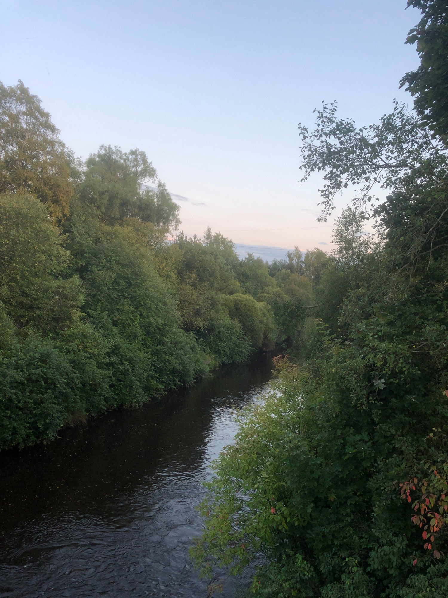 The image shows a river flowing through a densely wooded area in Beloostrov, Russia. The sky is a pale blue with some wispy clouds, suggesting it is either early morning or late evening. The trees on either side of the river are lush and green, with some showing hints of autumn color. The river itself is dark and appears to be flowing gently. There are no people or man-made structures visible in the image, giving it a natural and serene feel. The overall impression is one of tranquility and unspoiled nature.