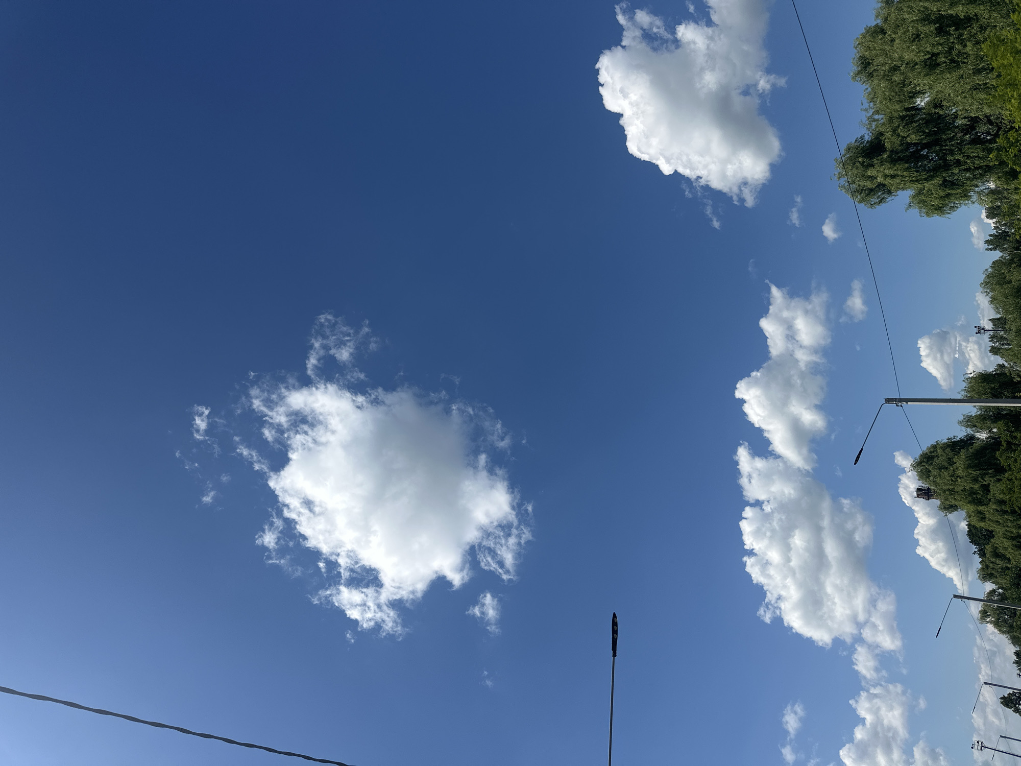 This image captures a bright, clear blue sky with scattered white cumulus clouds. In the foreground, the tops of lush green trees are visible, indicating a natural or park-like setting. Several modern streetlights are positioned among the trees, suggesting an urban or suburban environment. A thin black electrical wire runs diagonally across the upper left portion of the frame, and another similar wire is visible in the upper right. The overall scene is tranquil and suggests a pleasant daytime view. The context provided places this scene in the city of Strășeni, Moldova.