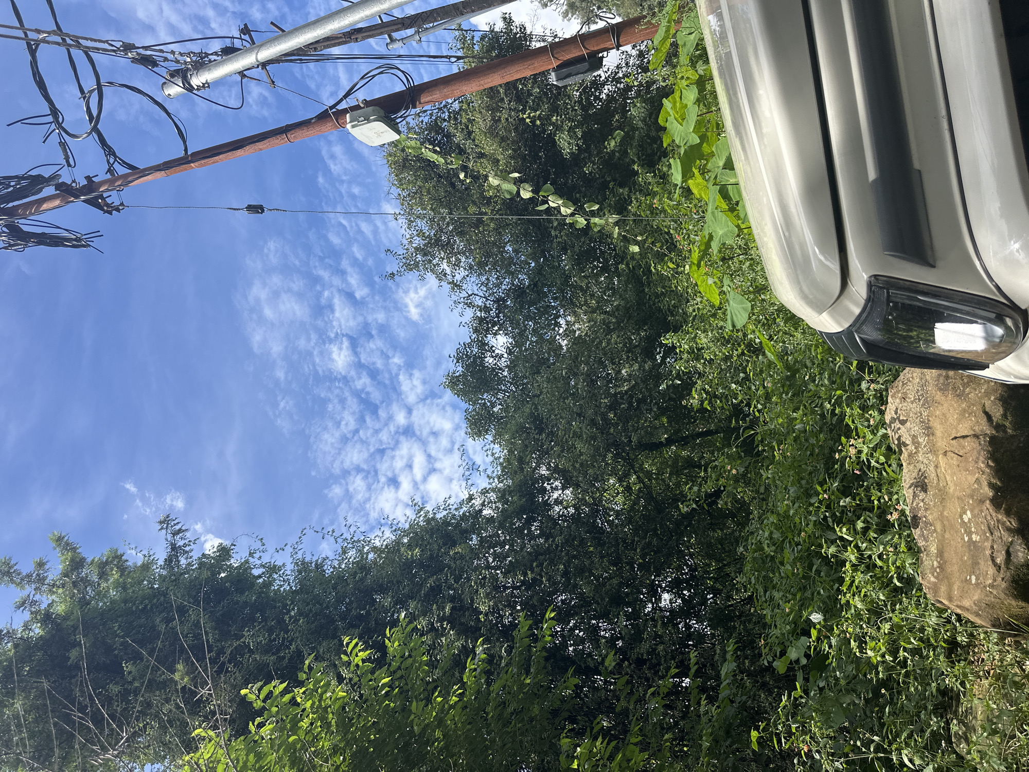 In an outdoor scene in Unknown, Unknown, a vehicle's front hood is visible in the foreground, with a portion of the headlight and grill illuminated by sunlight. Behind the vehicle, dense green foliage and trees create a lush, natural backdrop. A large rock is situated to the left of the vehicle. To the right of the scene, utility poles with numerous wires and electrical equipment stand tall against a bright blue sky dotted with white, scattered clouds. A vine is seen climbing up one of the utility poles.