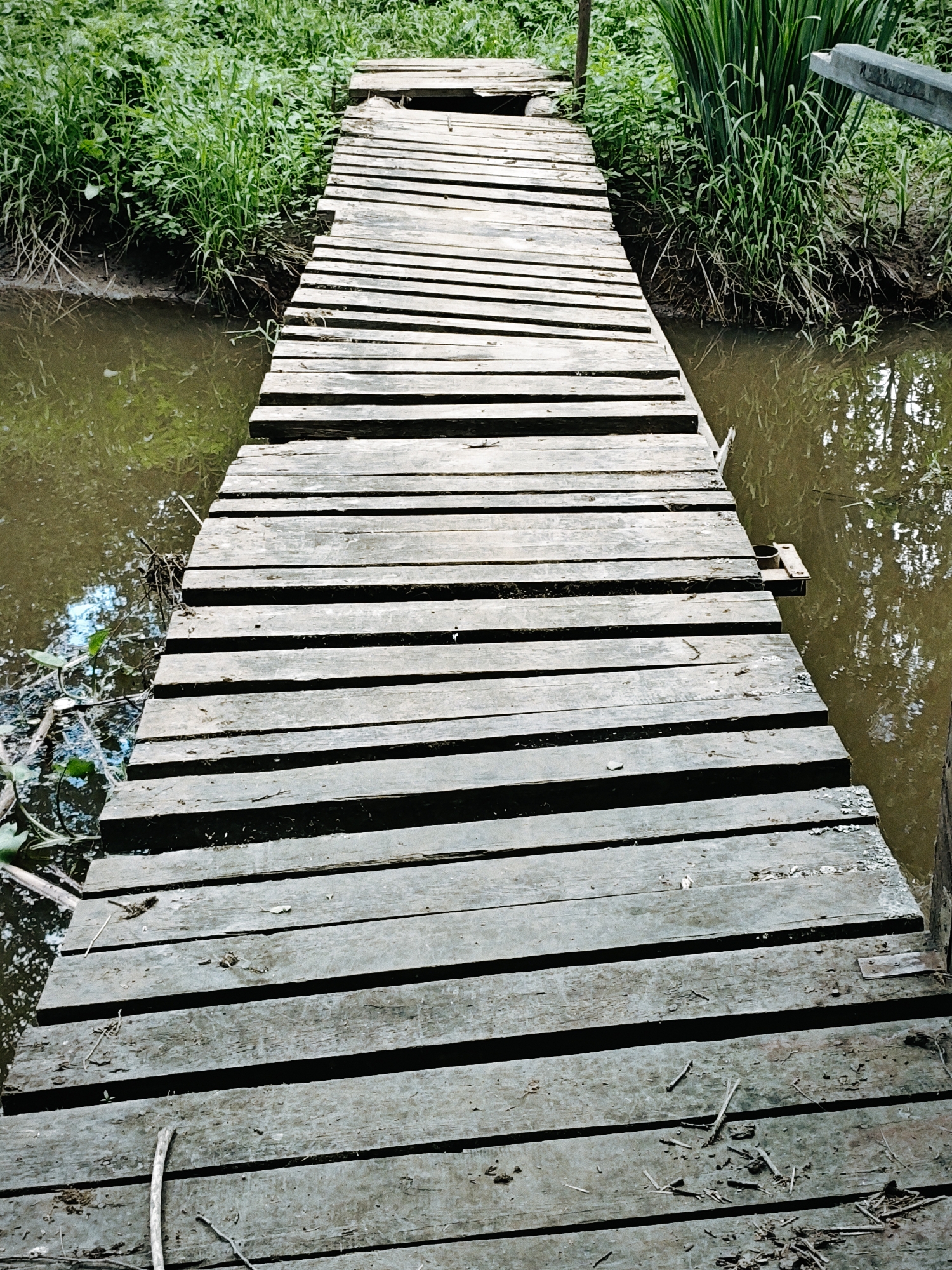 A wooden bridge spans a narrow body of water, likely a stream or small river, in a vegetated area. The bridge is constructed of parallel wooden planks, with visible gaps between them. The planks appear aged and weathered. Water is visible on either side of the bridge, reflecting some sky light. The banks of the waterway are overgrown with grasses and other green foliage. The scene suggests a natural or semi-natural environment. The location is specified as Боровково, Russia, but no elements in the image directly verify this location.