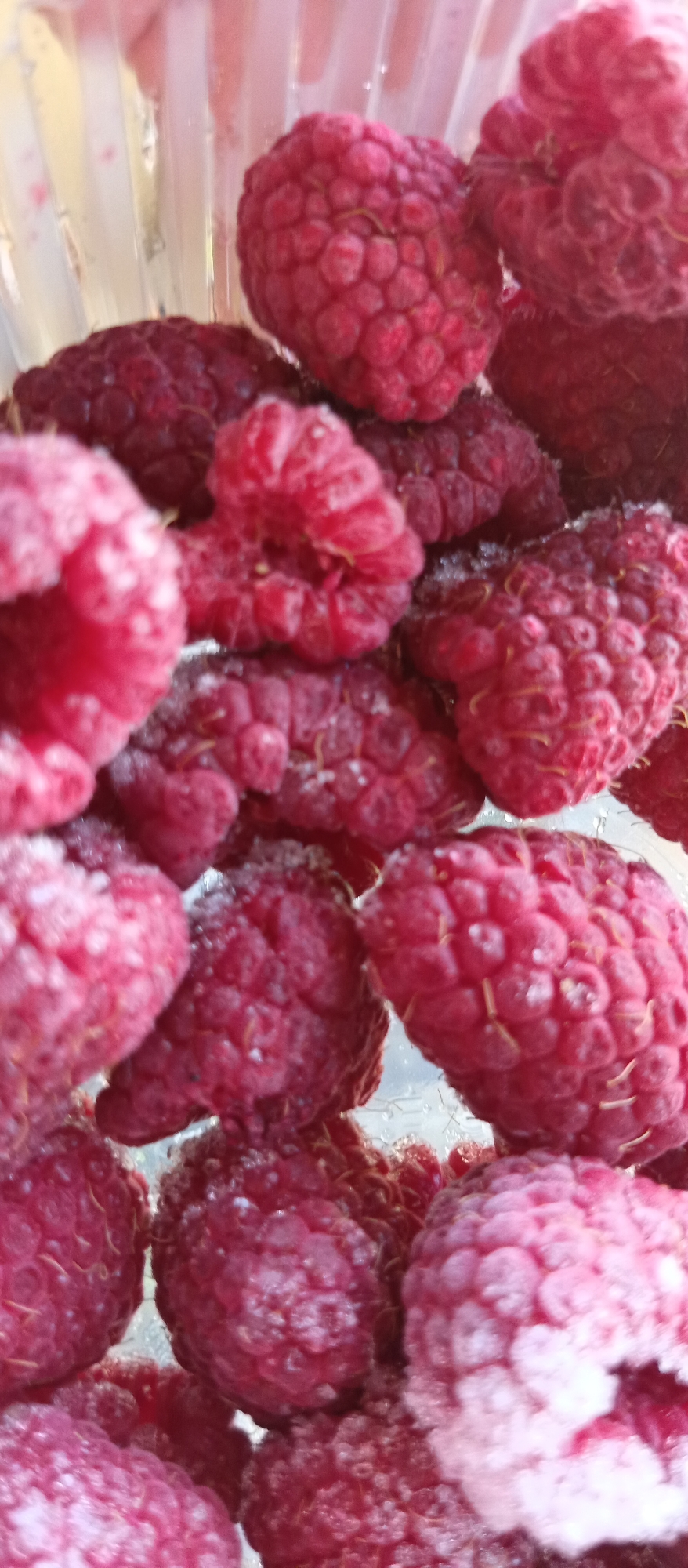 The image shows a close-up view of frozen raspberries in a clear plastic container. The berries are red and covered with a light frost. The container's interior is also visible. The location is not identifiable based on the provided image.