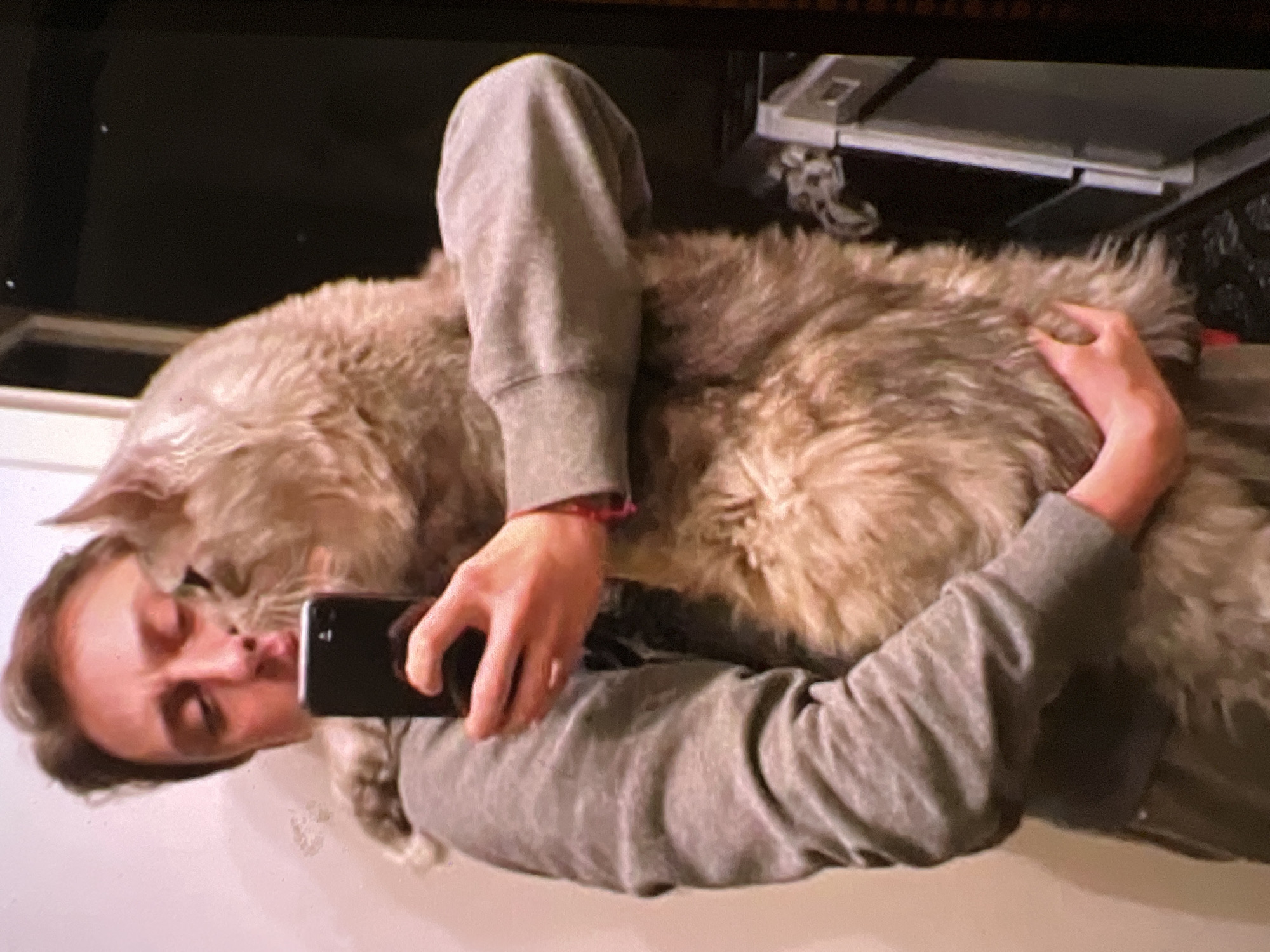 A person is taking a selfie with a large, fluffy cat in what appears to be a residential bathroom. The person is wearing a gray sweatshirt and holding a black smartphone in their left hand. Their right arm is around the cat, which is held in a way that suggests it's being hugged. The cat is predominantly light brown and gray with very long fur. The background is partially visible, showing a light-colored wall on the left and a darker area on the right, possibly containing some household appliances. The image quality is somewhat blurry and grainy, as is typical of a low-resolution photograph taken in indoor lighting conditions. There is no visible indication of the location being in Verona, Italy.