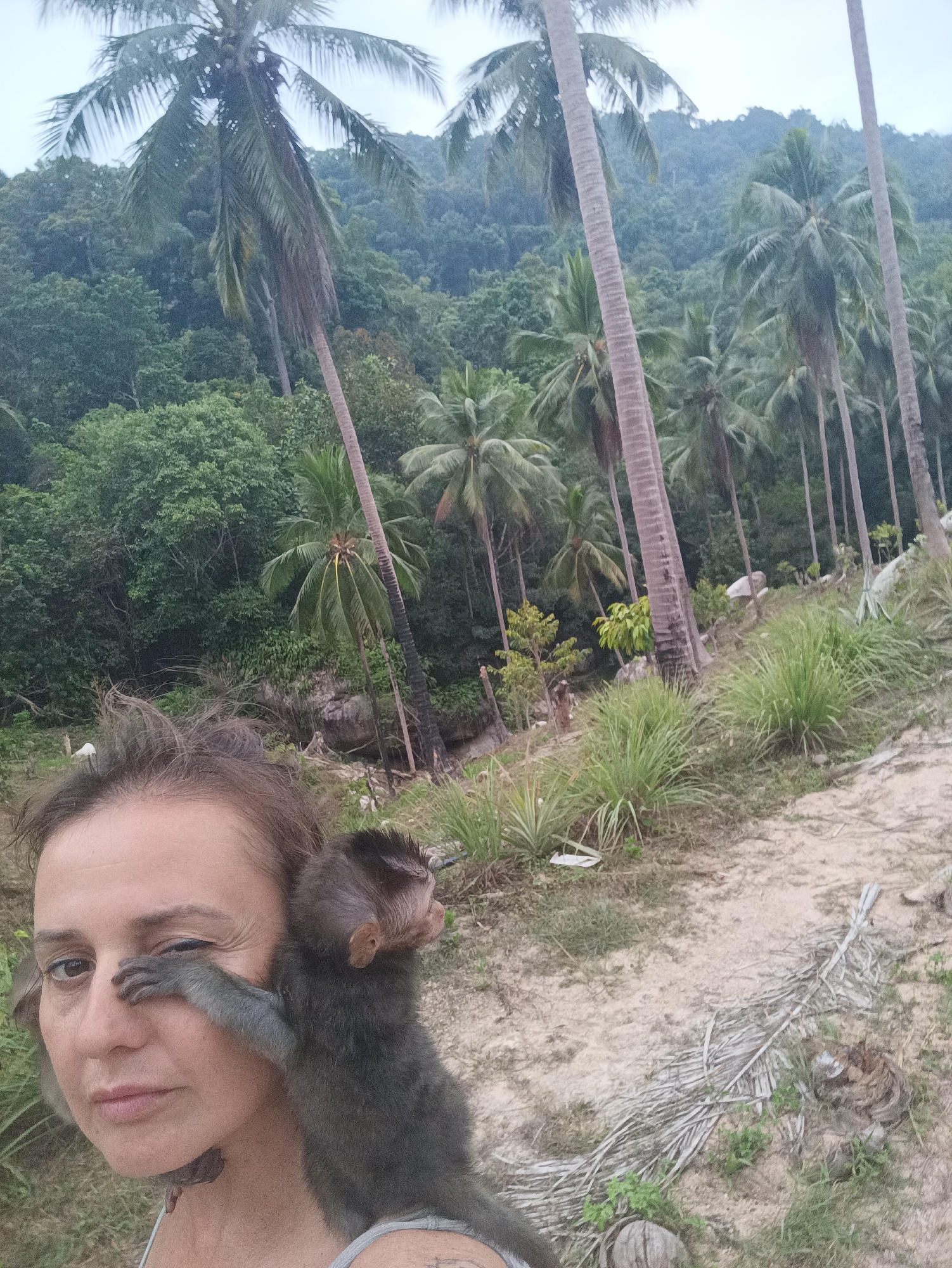 This vertical outdoor selfie captures a woman interacting closely with a small monkey in a lush tropical environment. The woman, with light brown hair, is in a close-up shot, looking towards the camera with a neutral to slightly focused expression. A small, greyish-brown monkey is perched on her right shoulder and head, with one tiny paw resting near her right eye. Its face is turned away, and the head of a second monkey is partially visible behind the woman's left shoulder.
The background is dominated by a dense, vibrant green tropical jungle that stretches up a hilly terrain. Numerous tall coconut palm trees stand prominently throughout the scene, some leaning, characteristic of a coastal or island setting. The foreground consists of a sandy-dirt path with patches of green grass and scattered dry palm fronds.
The lighting appears soft and diffused, suggesting an overcast day or perhaps early morning/late afternoon. The general ambiance is natural and wild, typical of tropical regions like Baan Thong Nang, Thailand. The interaction between the woman and the monkeys indicates a casual and possibly accustomed encounter in an area where wildlife is accessible to humans. There is no visible text in the image.