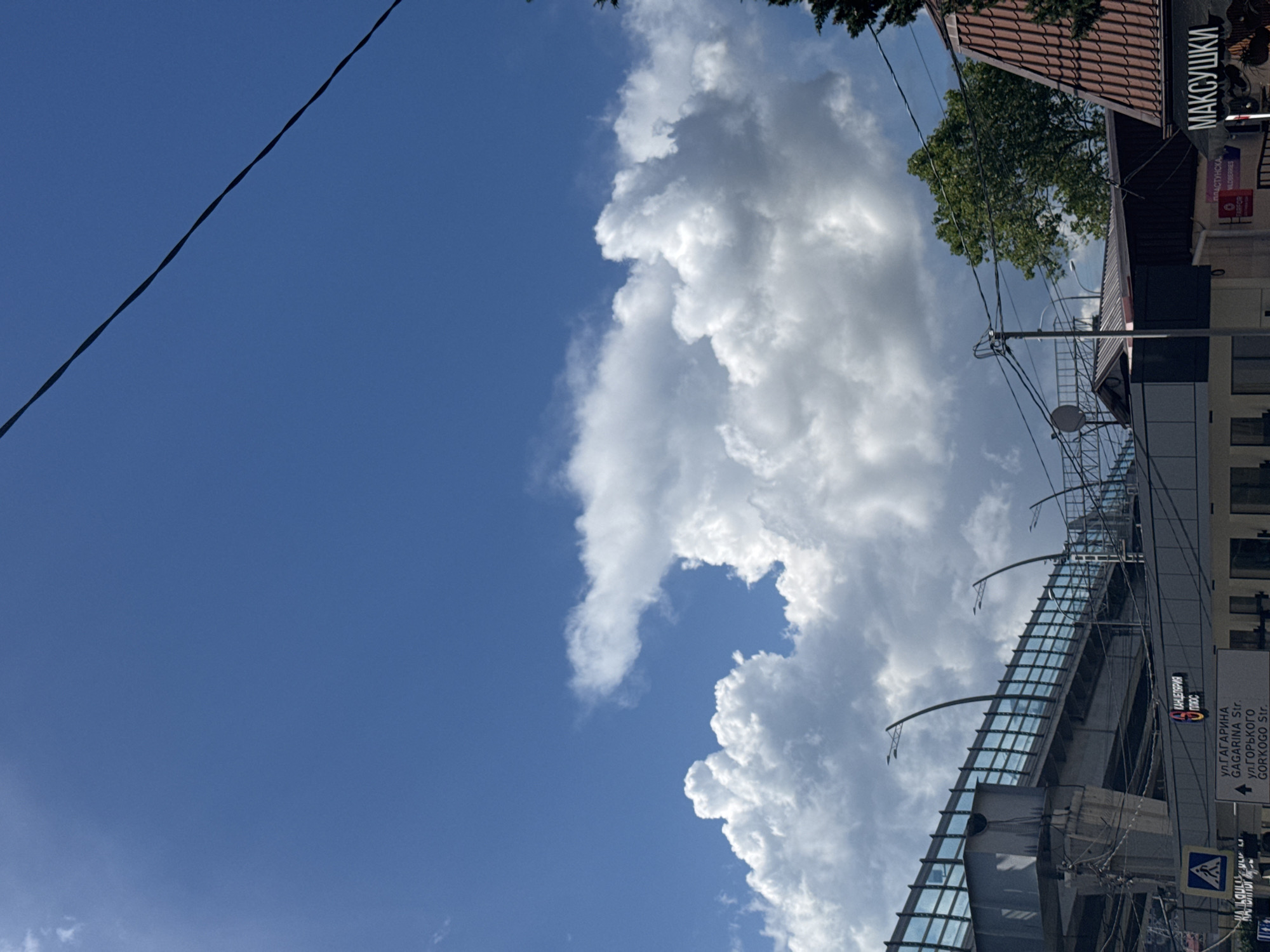 This is a vertical, eye-level, medium shot of a city street scene in Sochi, Russia, under a bright, blue sky filled with dramatic, white cumulonimbus clouds. The dominant feature on the right side of the image is a modern, multi-story building with a reflective glass facade. Above the glass, a red-tiled roof is visible, and a large, mature tree with dense green foliage extends into the frame from the upper left.
Several signs are affixed to the building. One prominent sign in black and white text reads "МАКСУШКИ". Below it, another sign is partially visible with "ПЛАСТУНСКА" and "VILDBERRIES" in smaller text. A larger sign further down displays arrows and street names in both Russian and English: "ул. ГАГАРИНА GAGARINA Str." and "ул.ГОРЬКОГО GORKOGO Str.". Another sign with a red circular logo features the text "КАНЦЕЛЯРИЯ плос". A blue and white traffic sign showing a triangle with a pedestrian figure is also visible near the bottom.
A thick, dark power line runs diagonally across the upper left portion of the sky, casting a slight shadow. Utility poles and wires are interspersed throughout the scene, connecting to the building and extending upwards. The overall impression is a sunny day, likely late morning or early afternoon, with the striking clouds and urban architecture creating a dynamic visual contrast. The scene appears to be a busy commercial area.