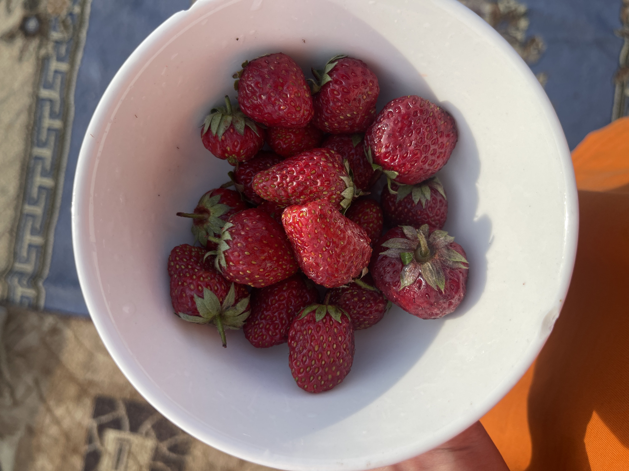 A top-down, medium-distance shot displays a white bowl filled with ripe strawberries. The strawberries are red and studded with seeds, with some still bearing green stems and sepals. The bowl is situated on an outdoor surface, possibly a blanket with a geometric pattern partially visible in the upper left. To the right, a portion of an orange fabric or object is visible. The location is not discernible from the image and the text makes no reference to the city of Verkh-Katunskoye.