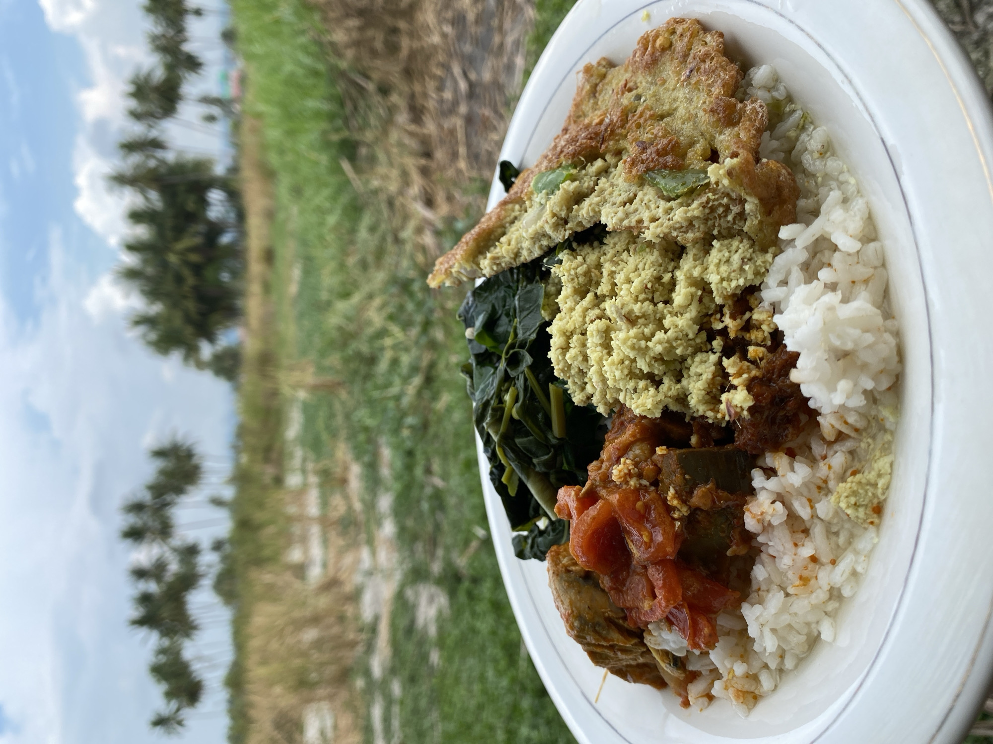 A close-up, eye-level shot presents a white ceramic plate filled with a hearty meal, set against a blurred background of lush greenery and a line of palm trees under a cloudy sky. The plate is divided into sections, showcasing a generous serving of white rice as the base. To the left of the rice, a portion of stewed meat in a thick, reddish-orange tomato sauce is visible, with some darker meat chunks interspersed. Adjacent to this, a pile of finely crumbled, yellowish food, possibly seasoned grated coconut or a similar dish, sits atop the rice. To the right of the crumbled food, a golden-brown omelet or fried egg patty, slightly browned and textured, rests on the rice. Behind these main dishes, a mound of dark green, leafy vegetables, likely boiled or steamed, adds a contrasting color to the plate. The overall impression is of a flavorful, home-style meal served outdoors, possibly in a rural or coastal setting. The background, though out of focus, suggests a tropical environment with tall palm trees and dry grass or reeds, hinting at a location in Blangdalam, Indonesia.