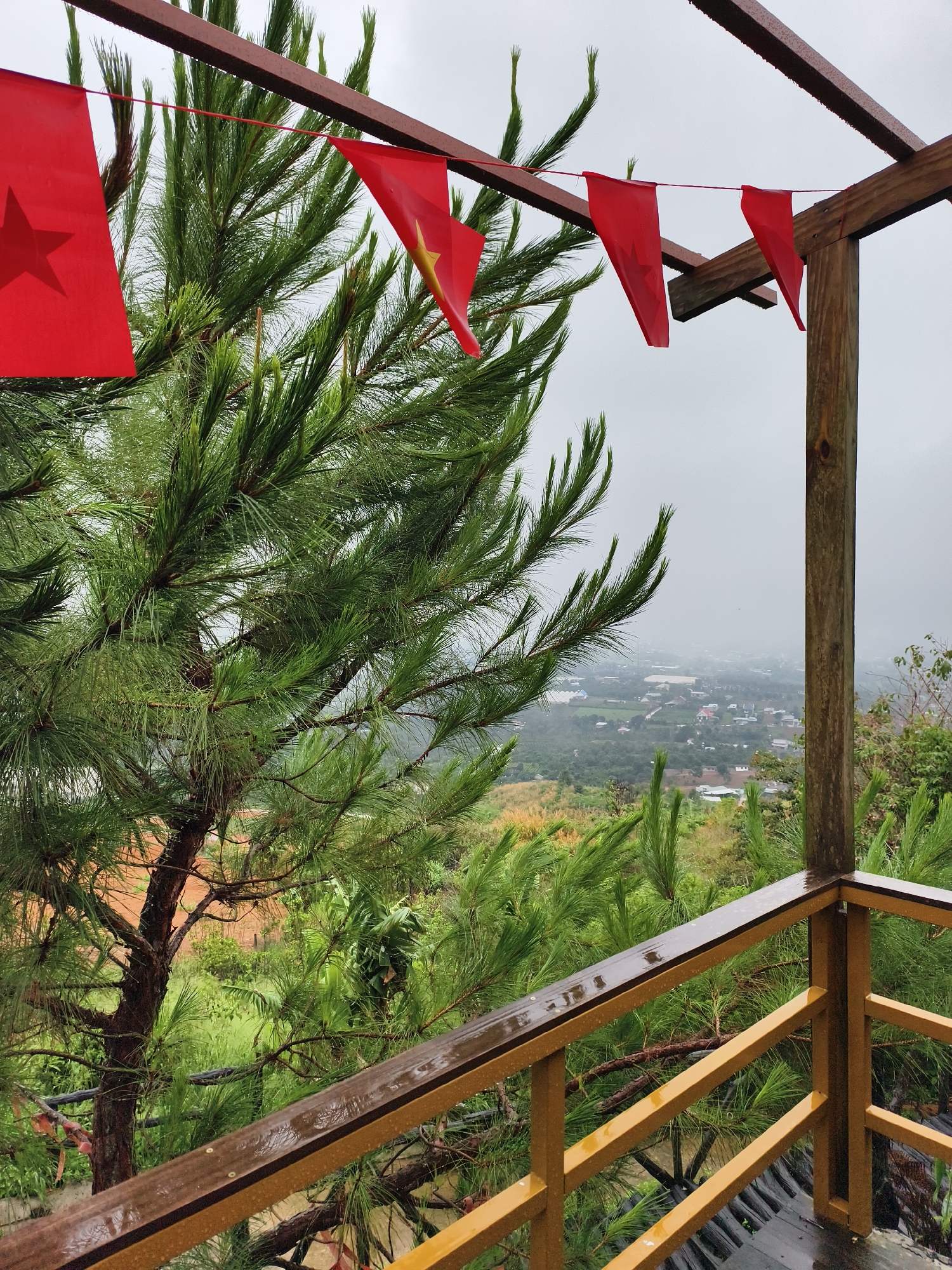 The photograph depicts a landscape scene, apparently taken from a sheltered or elevated position, possibly a veranda or platform, under overcast conditions. The foreground is dominated by a large conifer tree with lush green needles, partially obscuring the view.
Hanging above the tree, from a dark wooden structure, are several red flags with yellow stars, resembling the flag of Vietnam. These are strung along a thin red line, suggesting a festive or celebratory context. The wooden structure appears to be part of a balcony or viewing platform, with railings painted in a dark yellow or tan color. The surfaces of the wood are wet, indicating recent or ongoing rain.
In the middle ground, there's a valley with a mix of vegetation, including green trees and shrubbery, and buildings, likely part of a small town or settlement. The structures are visible through a haze or fog, suggesting a high altitude or distance.
The background is a cloudy or overcast sky, which contributes to the soft, diffused light of the photograph. There is no visible human presence or activity in the scene. The image evokes a sense of tranquility, despite the slightly damp and somber weather.