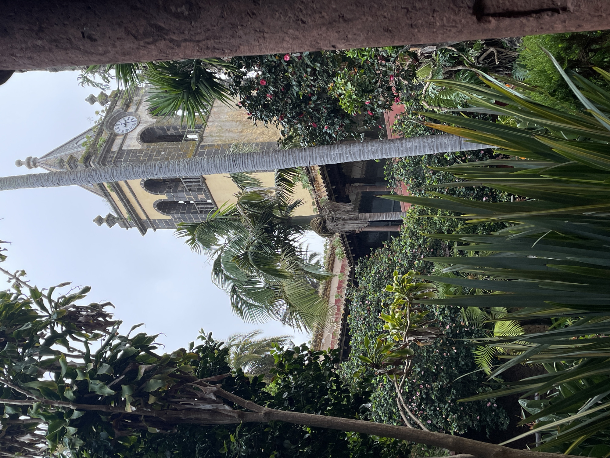 This image captures an upward view of an old stone church tower, framed by abundant tropical and subtropical foliage. The scene is set on an overcast day, indicated by the uniformly white sky.
The prominent subject is a historic church tower, constructed from various shades of stone, located slightly to the left of the frame's center. It features multiple arched window-like openings, possibly bell chambers, and is adorned with a visible clock face near its peak. The clock face displays Roman numerals, with its hands indicating approximately 10:10. The tower exhibits signs of age, including some weathering and patches of greenery growing on its stonework.
The foreground and sides of the image are filled with dense, vibrant plant life. A thick, textured palm tree trunk cuts horizontally across the middle of the frame, adding a prominent linear element. Numerous palm fronds are scattered throughout. Other diverse plants include leafy bushes with small pink flowers, resembling camellias, and various broad-leafed plants with long, blade-like leaves, particularly noticeable in the bottom right. A partial view of a building roof with red tiles is visible behind some of the foliage, hinting at surrounding structures.
No specific activity or event is taking place; it's a static landscape view. The lush vegetation and the architectural style of the church are consistent with the provided location context of San Cristóbal de La Laguna, Spain, suggesting a historical site within a verdant setting. The overall impression is one of serene antiquity intertwined with nature.