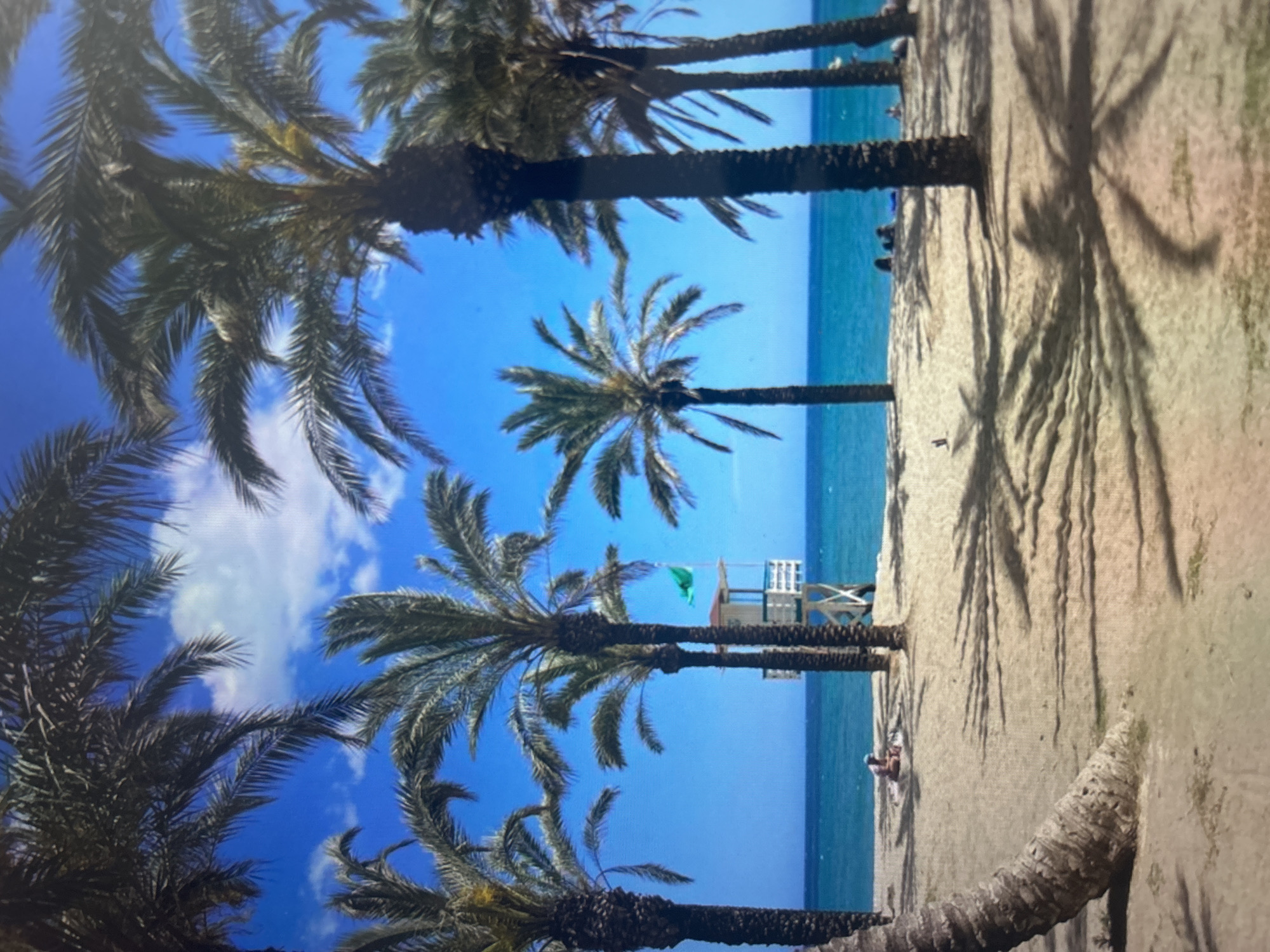 The image displays a serene beach scene, rotated 90 degrees clockwise, under a bright blue sky with scattered white clouds. Numerous palm trees, characterized by their tall, textured trunks and dark green fronds, are prominent throughout the frame. Some are close to the viewer, while others line the beach towards the horizon. These trees cast long, distinct shadows across the wide expanse of light-colored sand, indicating either early morning or late afternoon sunlight.
In the mid-ground, a calm, turquoise ocean meets the shore. A white and blue lifeguard tower stands near the water's edge, from which a small green flag flies. A few people are visible on the beach; one person is seen lying on a towel or chair near the shoreline, and another is seated on the sand. The setting suggests a tranquil, sunny day at a tropical or Mediterranean beach destination. No visible text is present in the image.