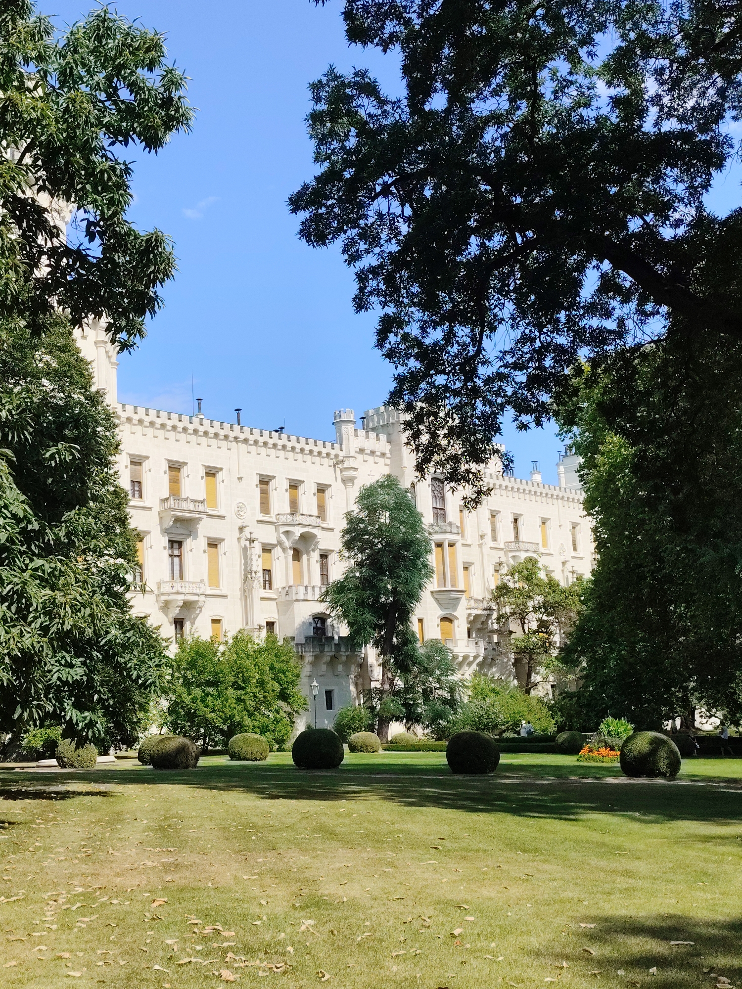 The image depicts a frontal view of Hluboká Castle in Hluboká nad Vltavou, Czechia, a white, ornate building with numerous windows and balconies. The castle is framed by lush green trees, with a meticulously manicured lawn in the foreground. Several spherical bushes are strategically placed on the lawn, and a flower bed with orange flowers is visible to the right. The sky is clear and blue. Two individuals are visible in the background, appearing to be walking through the gardens. The overall scene suggests a sunny day in a well-maintained park surrounding a historic castle.