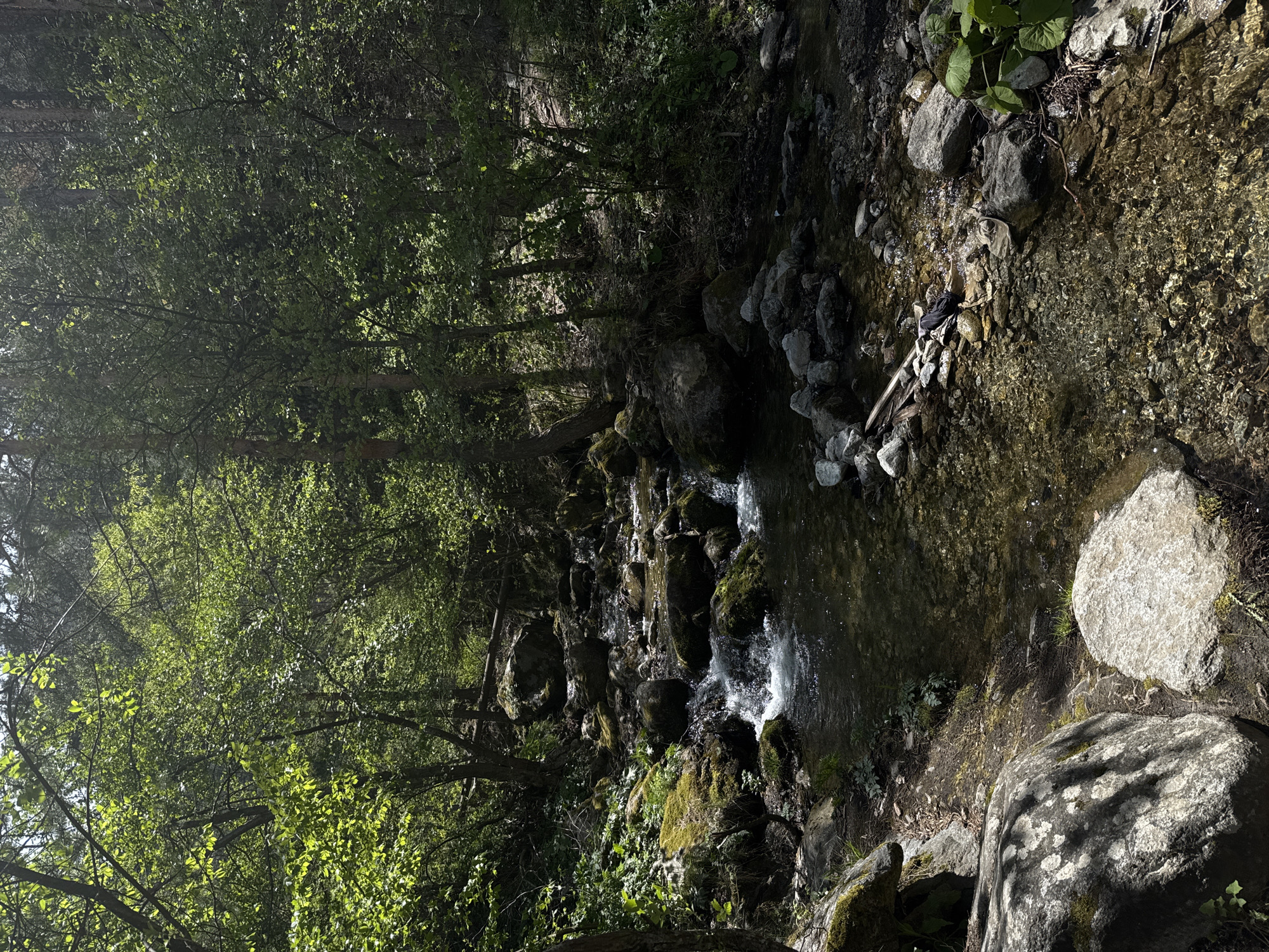 The image shows a stream flowing through a wooded area, likely in a mountainous region, possibly near Ovchartsi, Bulgaria, given the prompt's location reference. The stream is lined with rocks and boulders, some covered in moss. A small waterfall can be seen. Trees line the banks of the stream. Clothing or cloth sits on rocks in the stream.