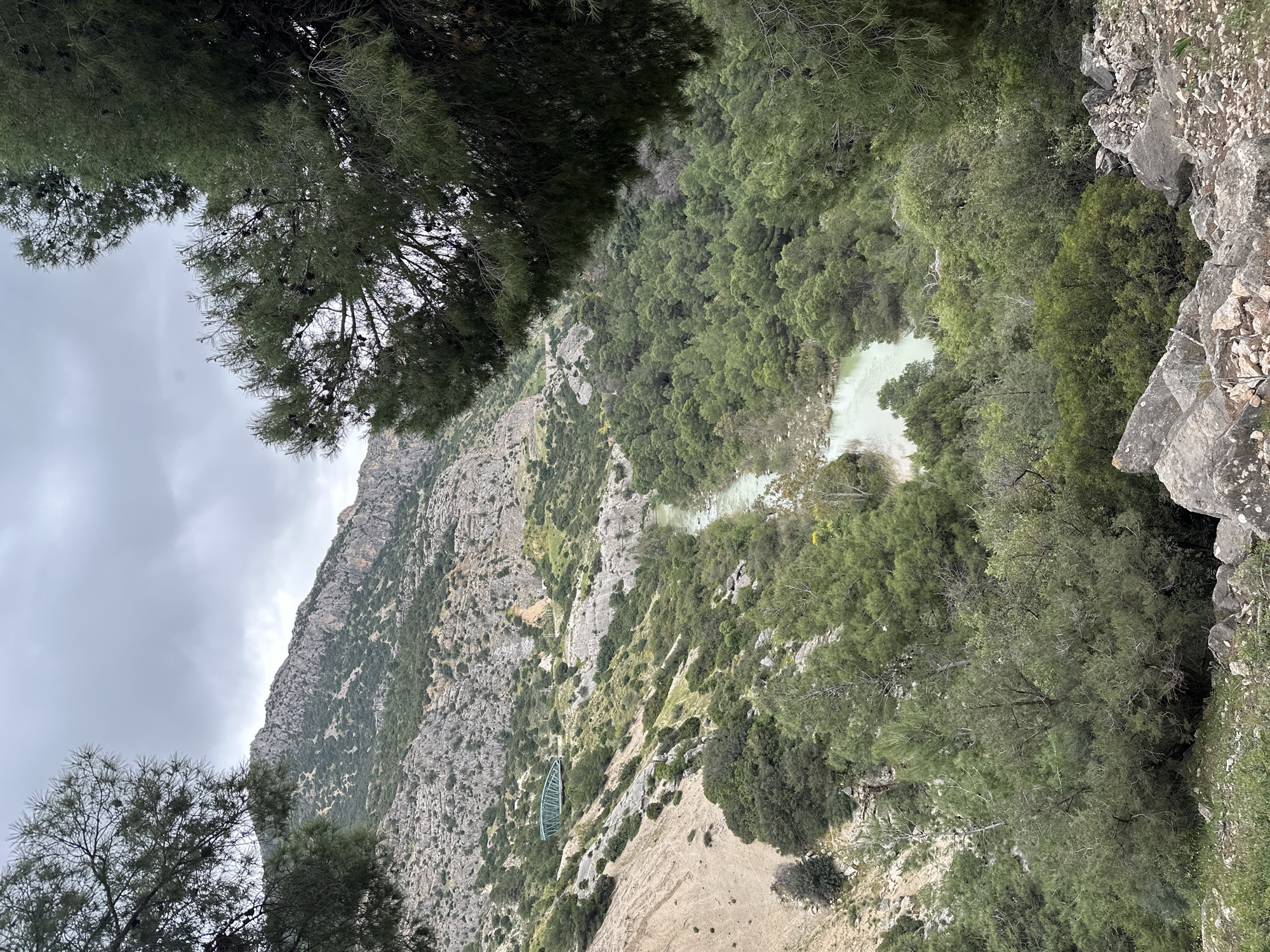 A dramatic, panoramic view captures a deep mountain gorge under an overcast sky. The scene is dominated by steep, rugged cliffs and slopes, heavily forested with various green trees and sparse vegetation. On the left, a large, rocky mountain face rises prominently, its upper sections partially obscured by low, grey clouds.
Winding through the bottom of the valley is a striking body of water, likely a river or reservoir, characterized by its distinct milky green or turquoise color. Dense woodlands line its banks and extend up the surrounding slopes.
A notable man-made feature, a slender green arched bridge, is visible on one of the rocky cliff faces, suggesting an engineered path or walkway traversing the gorge. The foreground is framed by dark green pine trees, complete with visible cones, adding depth to the high vantage point.
The weather appears cloudy and overcast, creating a soft, diffused light across the landscape. No people are visible, emphasizing the natural grandeur and wildness of the setting. The presence of the unique green bridge and the distinctively colored water strongly suggest the Caminito del Rey area in Ardales, Spain, aligning with the provided location context. The overall impression is one of majestic natural beauty and rugged wilderness.