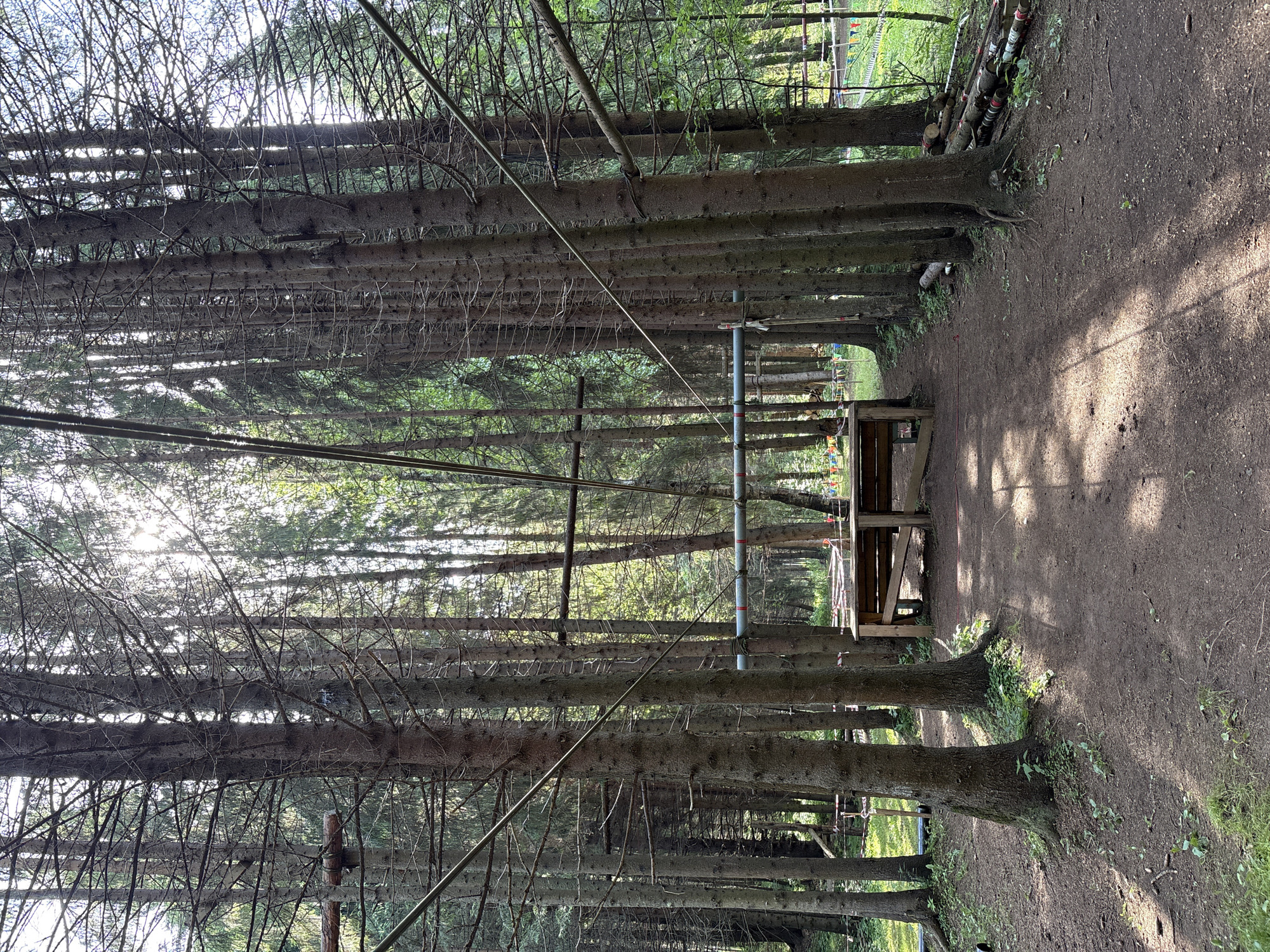 The image depicts a pathway through a forest in Sergino, Russia. Tall, slender pine trees line the left side of a dirt path, casting dappled shadows. The path curves to the right, leading towards a wooden picnic table situated under some of the trees. In the background, beyond the trees and path, there are hints of an outdoor recreational area, possibly a park or adventure course, with colorful flags and ropes visible. The sunlight filtering through the dense canopy suggests it is daytime, likely morning or afternoon, with clear weather. The scene evokes a sense of tranquility and natural beauty, typical of a forest setting. There is no visible text in the image.