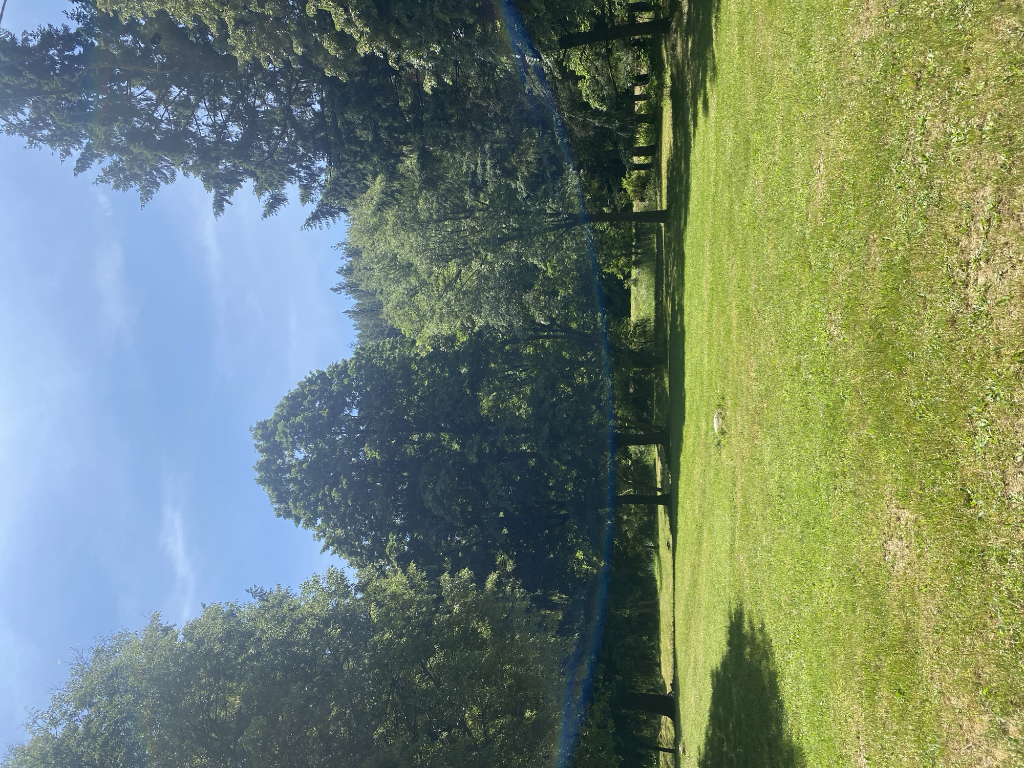 The image shows a grassy field bordered by a line of trees. The sky is visible above the trees, and there appears to be a lens flare or rainbow effect in the lower part of the image. The trees cast shadows on the grass. There are no people visible in the image. It's impossible to confirm that this image is taken in Blagoevgrad, Bulgaria, or any other specific location, based on the content of this picture alone.