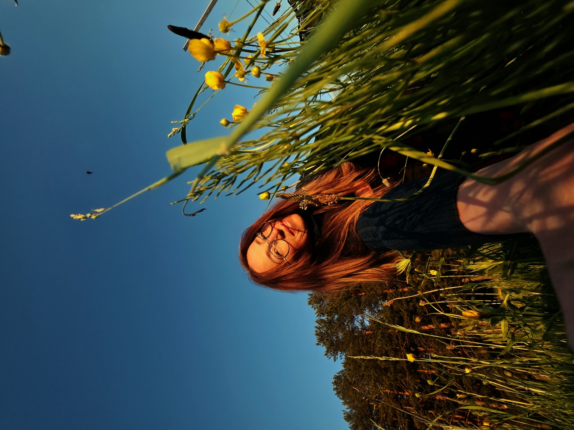 The image presents a unique, low-angle perspective, looking upwards from within a field of lush green grass and yellow wildflowers towards a clear, deep blue sky. A person with long, reddish-brown hair and round glasses is visible in the lower right portion of the frame. Their face is tilted slightly upwards, looking towards the sky or camera, illuminated by warm, golden light, suggesting late afternoon or early evening (golden hour). They appear to be wearing a dark top.
The foreground is dominated by dense, tall green stalks of grass and numerous small yellow flowers, possibly buttercups, creating a natural, immersive frame around the subject and the sky. Many of these flowers are in bloom, while others are still buds. In the midground and background on the right, the upper canopy of dark green trees, possibly conifers, can be seen, also touched by the golden light. The upper left and central areas of the image are a vast expanse of clear, azure sky. A tiny, dark, blurry object, potentially an insect or small bird, is faintly visible in the upper left sky. The scene conveys a sense of tranquility and connection with nature, likely in a rural or natural park setting such as Chaikovsky, Russia. There is no visible text.