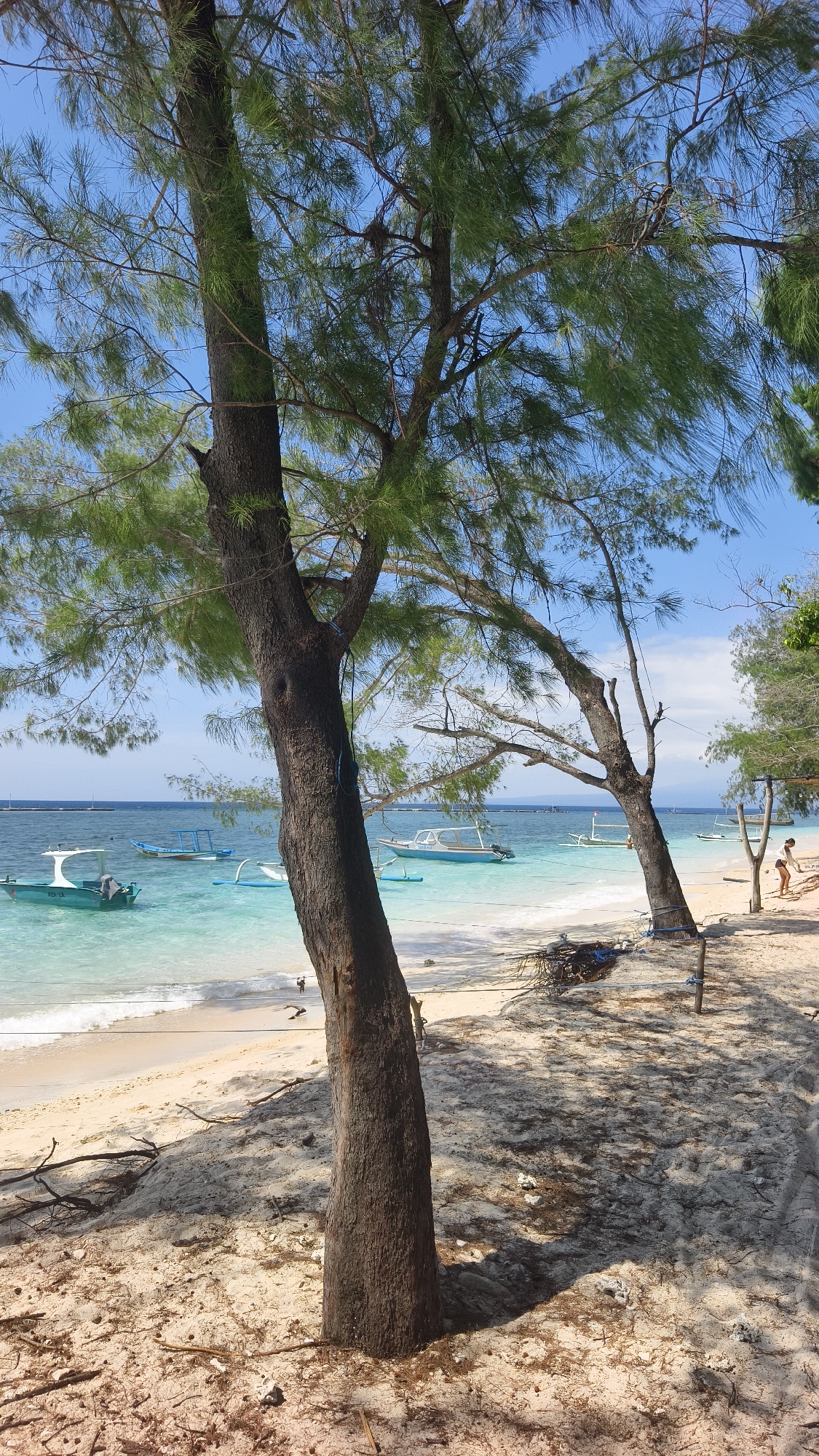 The photograph captures a beach scene in an undisclosed location in Indonesia. In the foreground, two trees with rough, textured bark stand, partially obscuring the view. The trees are sparsely covered with long, needle-like leaves. The sand on the beach is a mix of light beige and darker areas, possibly damp from the water, littered with fallen twigs and debris.
Beyond the trees, the turquoise water is dotted with several small boats. In the distance, a faint horizon line marks the division between the sea and the sky, which is a clear blue with a few wispy clouds. On the right side of the frame, a person is standing near the edge of the beach next to a structure of wooden posts and a clothesline. A pile of dark debris, possibly seaweed or discarded materials, lies on the sand between the trees and the water's edge. Shadows cast by the trees dapple the sand in the foreground.