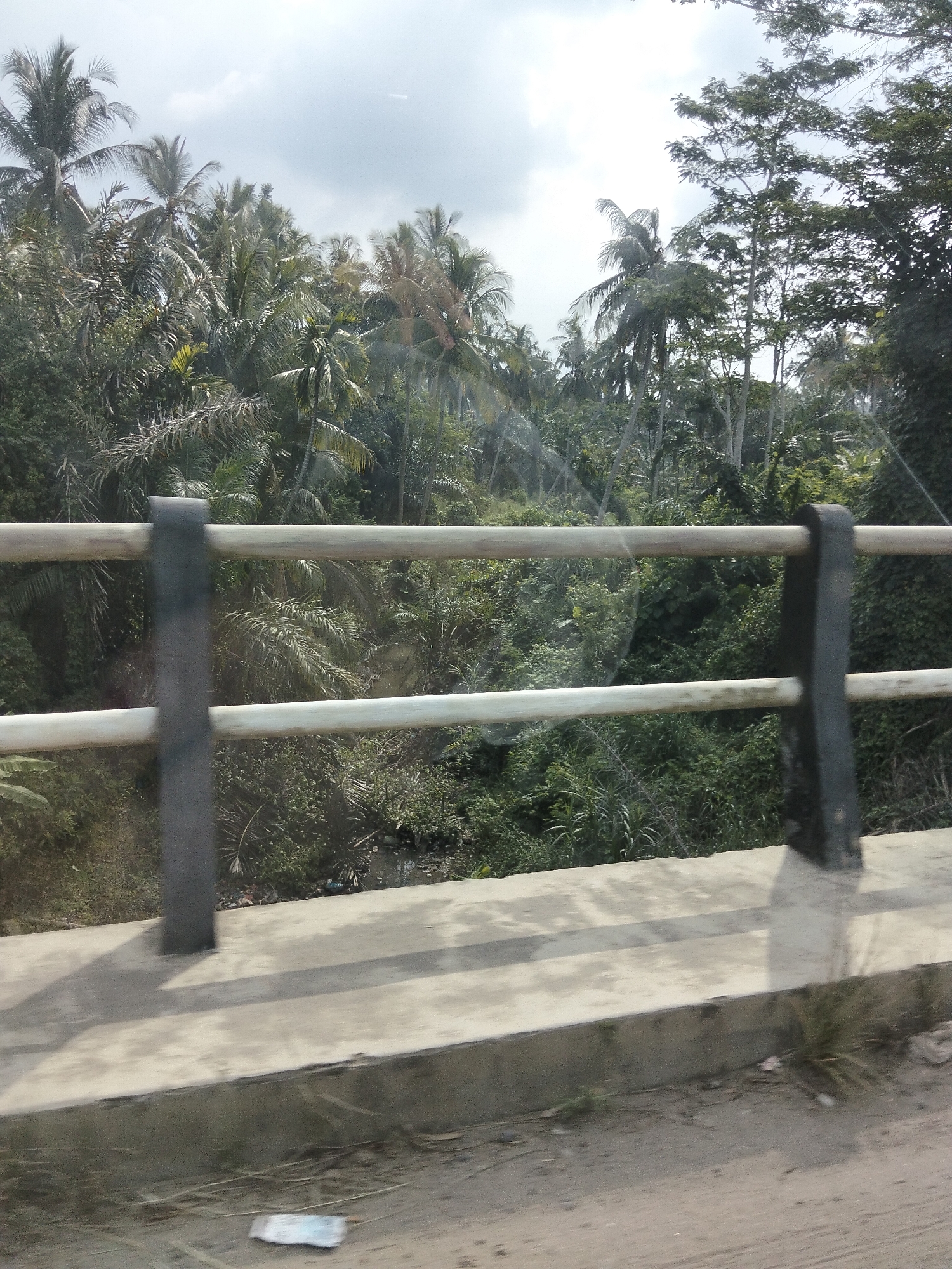 A view from a bridge railing shows a dense, tropical forest with many palm trees. The sky is partly cloudy. A concrete barrier runs along the edge of the bridge, with two horizontal railings made of metal pipes. The railing is supported by vertical, dark gray posts. The ground below the bridge appears to be a natural embankment covered in vegetation. The scene is set in Blang Mee, Indonesia.