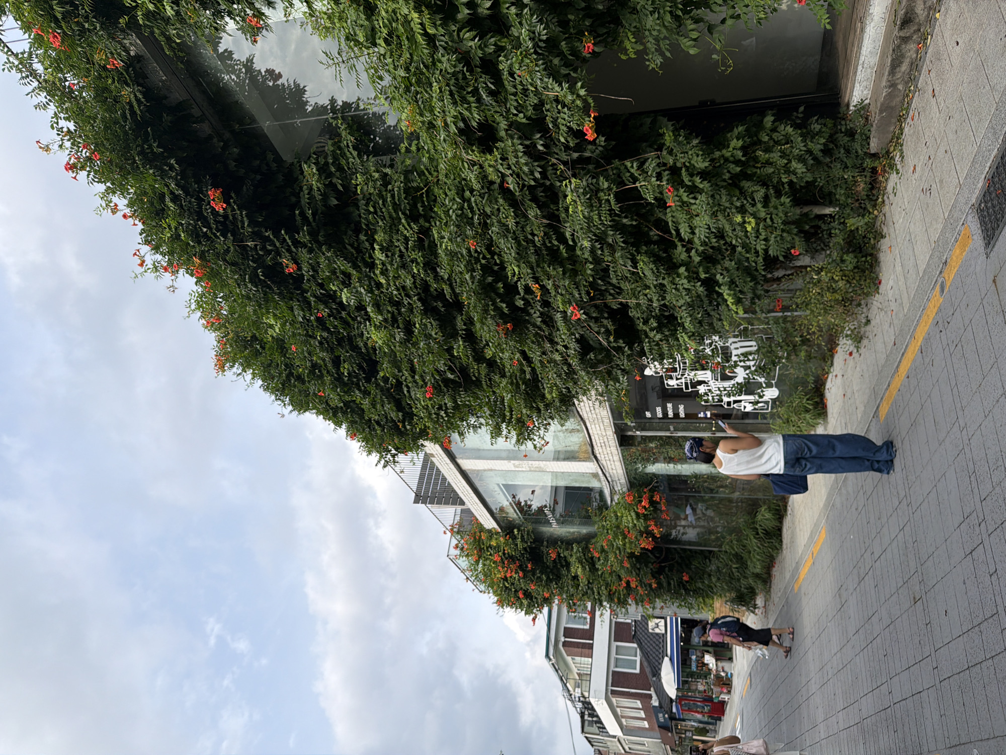 The image shows a street scene in the Yeonnam-dong neighborhood of Seoul, South Korea. A building covered in lush green ivy and vibrant orange trumpet flowers dominates the right side of the frame. The building features large glass windows and a modern architectural style. On the left side of the street, several people are walking. One person in the foreground, wearing a white tank top and blue jeans, is standing still and looking at their phone. Further down the street, other individuals are visible, some carrying bags. Shops with awnings and signage line the street on the left. The pavement is made of gray interlocking stones, with a yellow line marking the edge of the street. The sky is cloudy, with patches of blue.