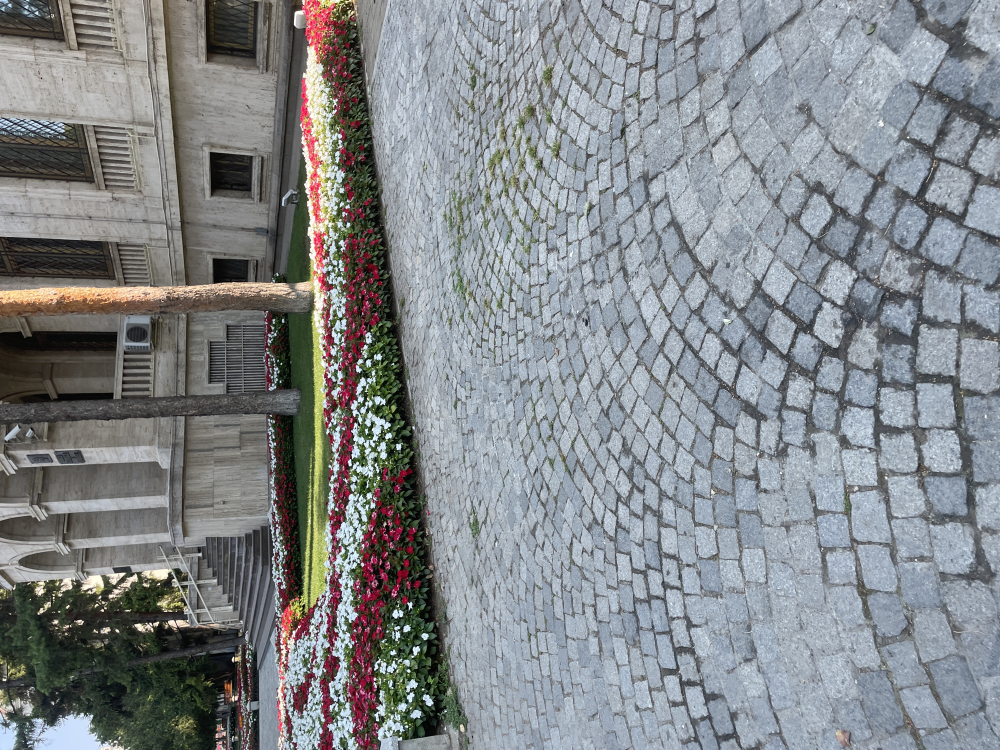 The image depicts a paved walkway in front of a building with classical architectural elements, likely in Iași, Romania. The walkway is constructed of grey cobblestones laid in a curved, fan-like pattern. A lush flower bed, filled with red and white flowers, runs along the edge of the walkway in front of the building. The building itself is made of light-colored stone and features arched windows and columns. Trees are visible on the left side of the building. The overall scene suggests a well-maintained public space, possibly a park or the grounds of a historical institution.