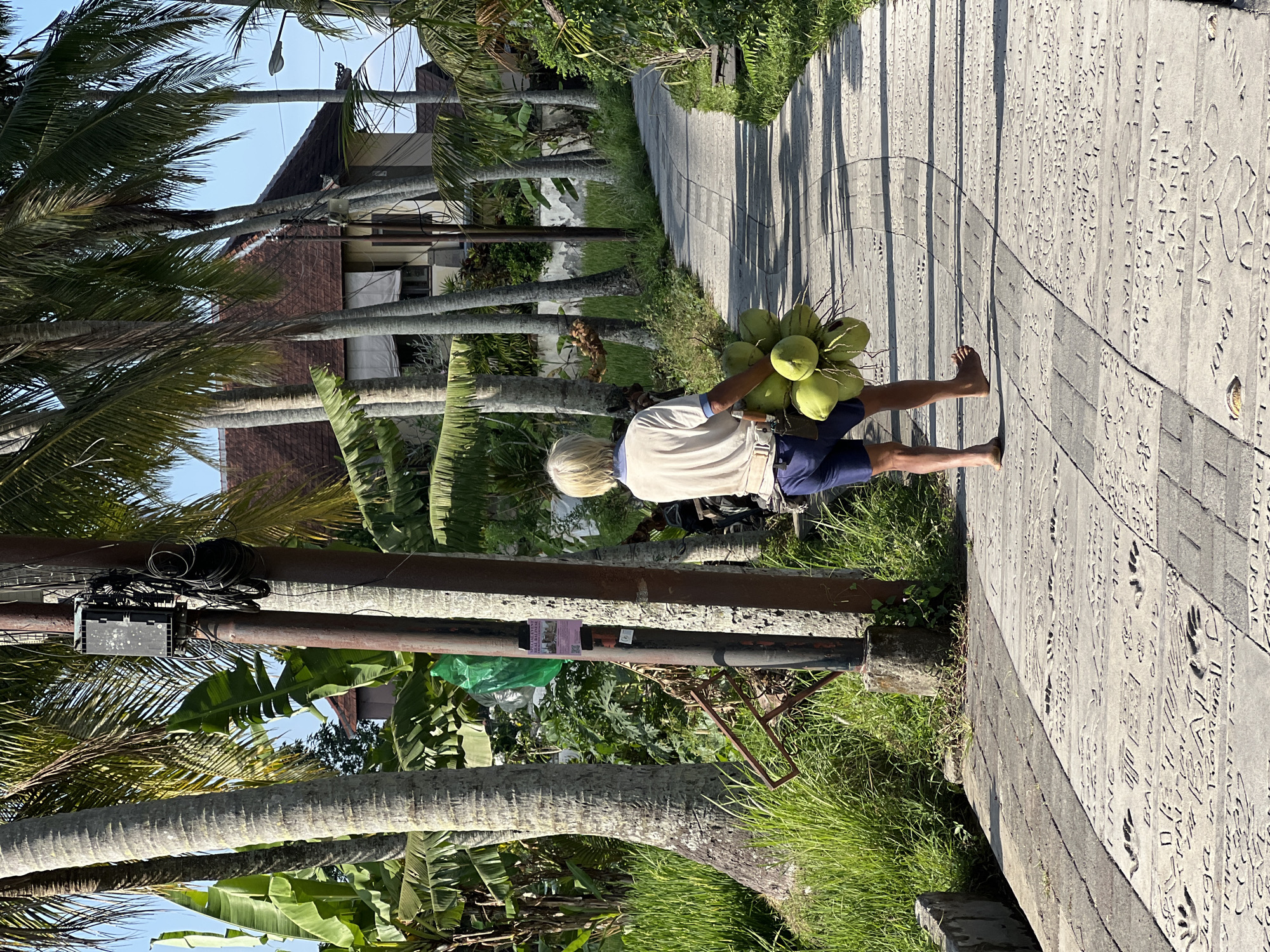 An individual with blonde hair, wearing a light-colored short-sleeved shirt and blue shorts, walks away from the camera along a paved pathway. They are barefoot and carrying a bunch of green coconuts in their right hand. The pathway is decorated with imprinted text and handprints. The environment is lush and tropical, with numerous palm trees and banana plants lining the path. In the background, a building with a red tile roof is visible through the trees. The scene appears to be outdoors, under natural daylight. The location is identified as Ubud District, Indonesia.