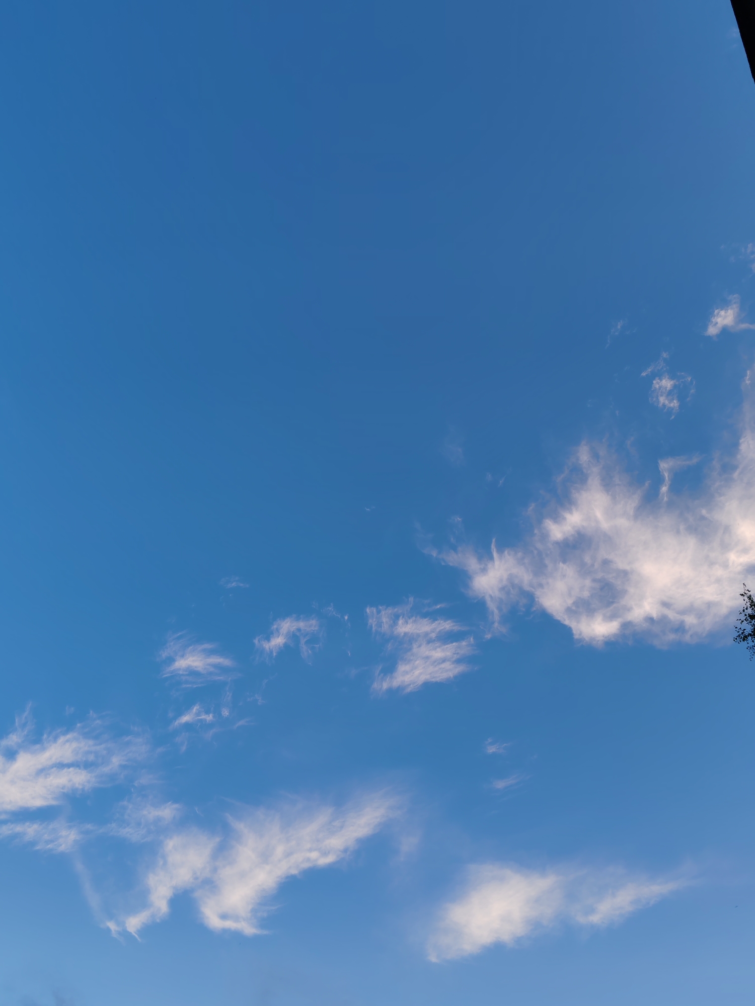 The image depicts a clear blue sky with wispy white clouds. A dark object, possibly a tree branch, is visible in the upper right corner. The scene is tranquil and appears to be outdoors, likely during daylight hours. There is no indication of the city of Чухлэм, Russia, within the image itself.
